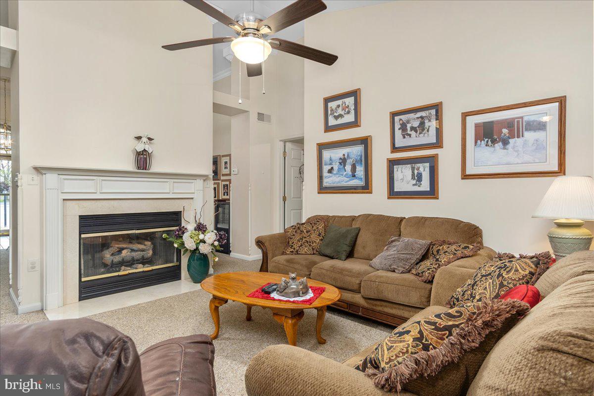 SPRING MILLS - Residential