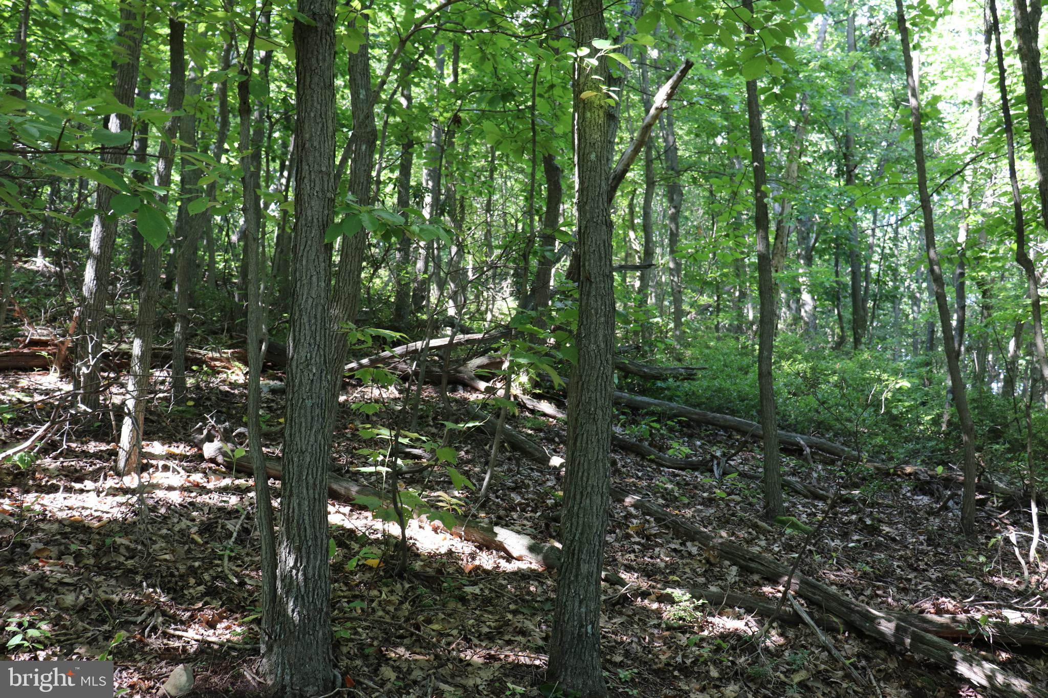 LOT 320 RIDGE RUN