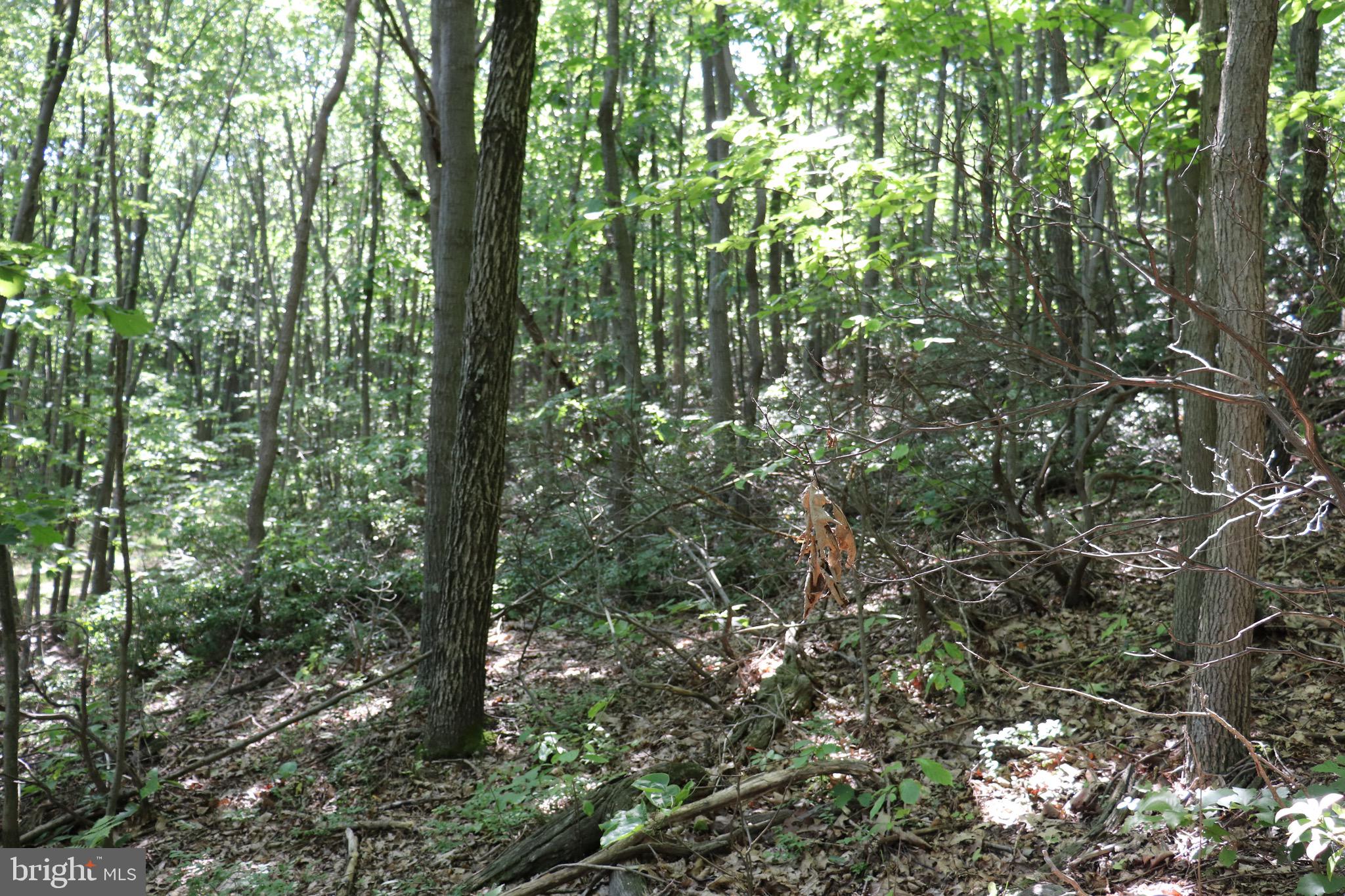 LOT 320 RIDGE RUN