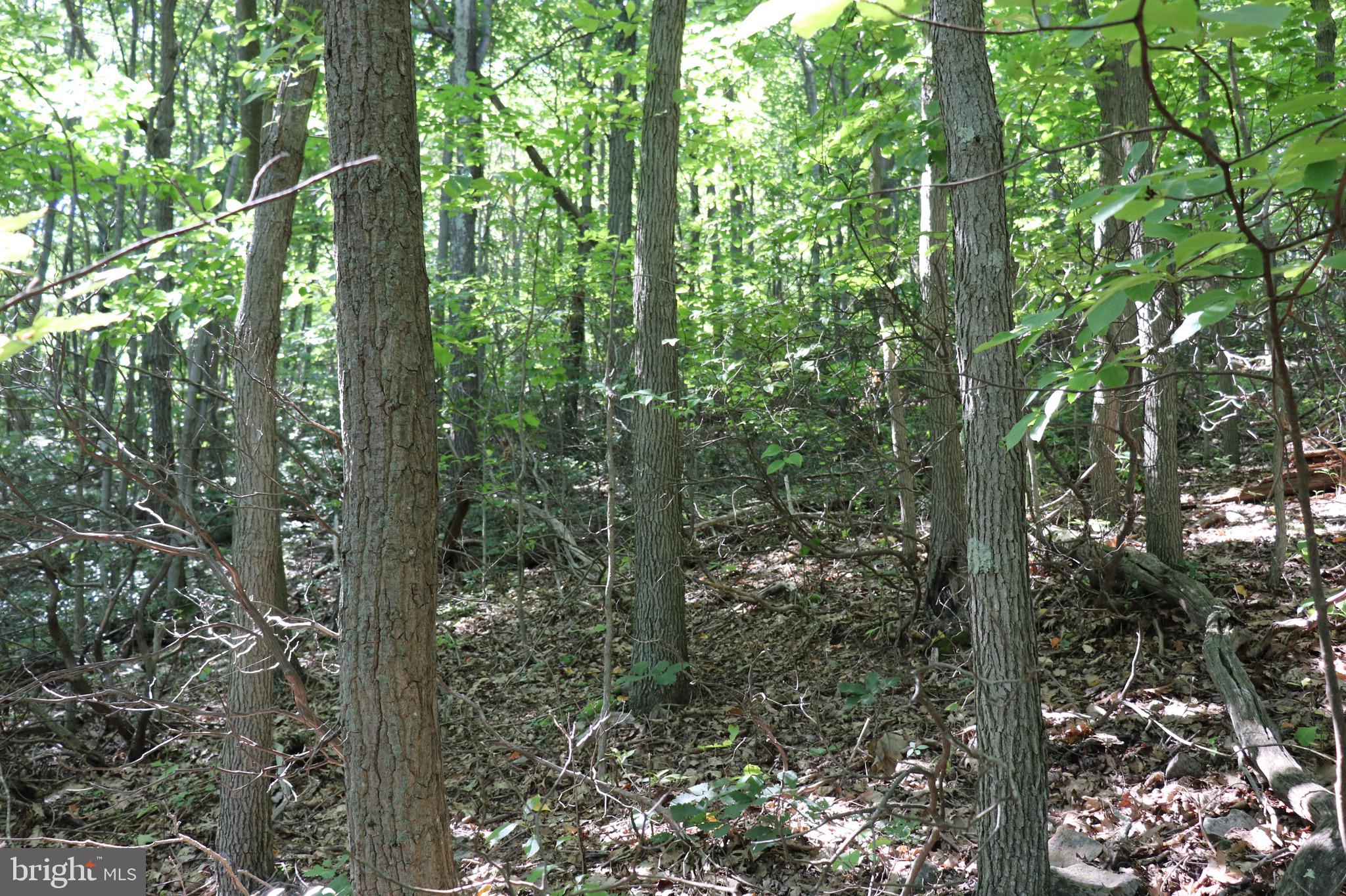 LOT 320 RIDGE RUN