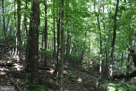 Vacant Land For Sale - Lot 320 Ridge Run<br/> CLAYSBURG, PA 16625