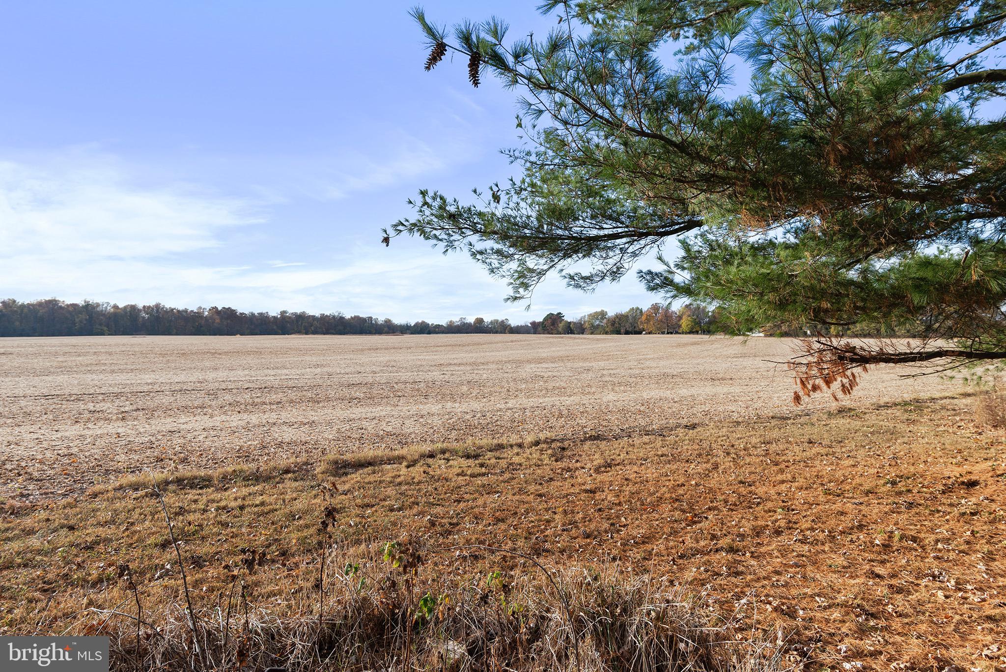 STILL POND - Residential