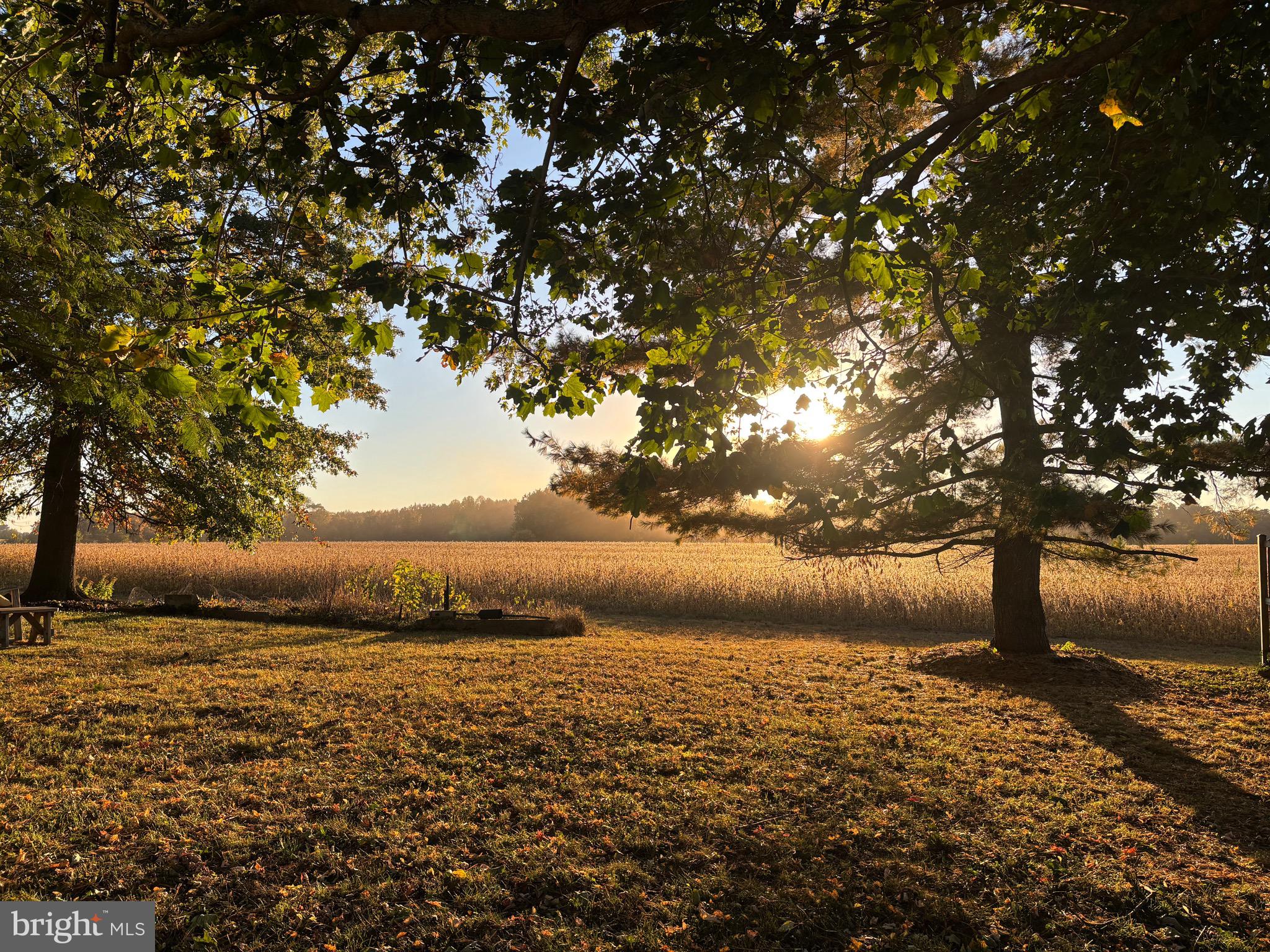STILL POND - Residential