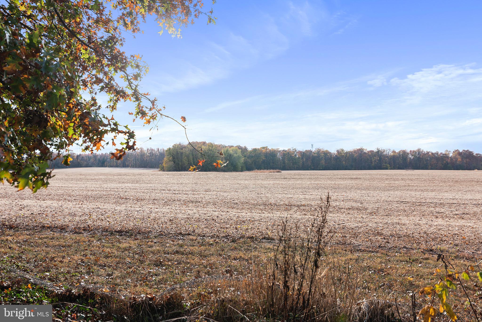 STILL POND - Residential