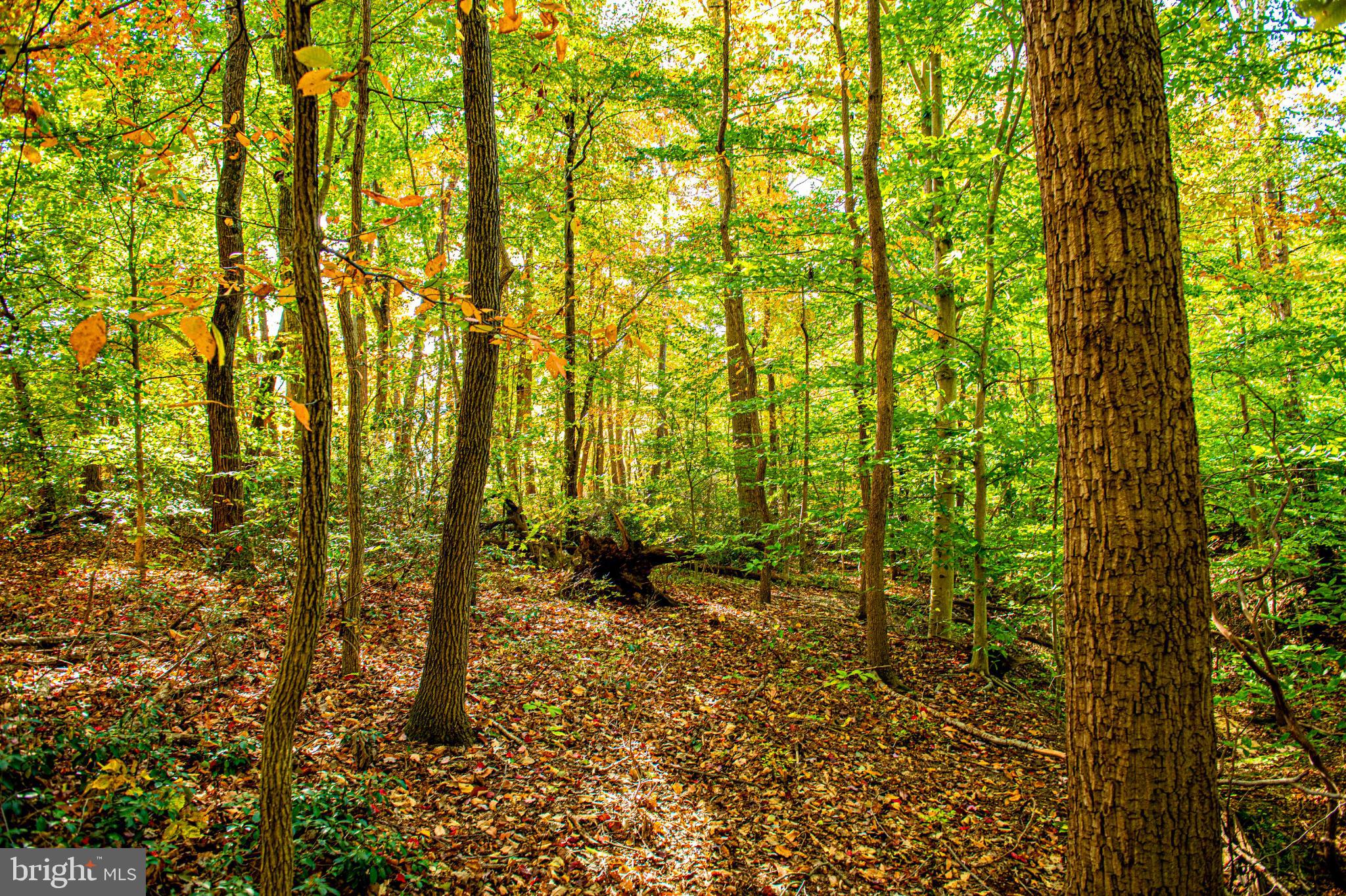 COKESBURY MANOR - Residential