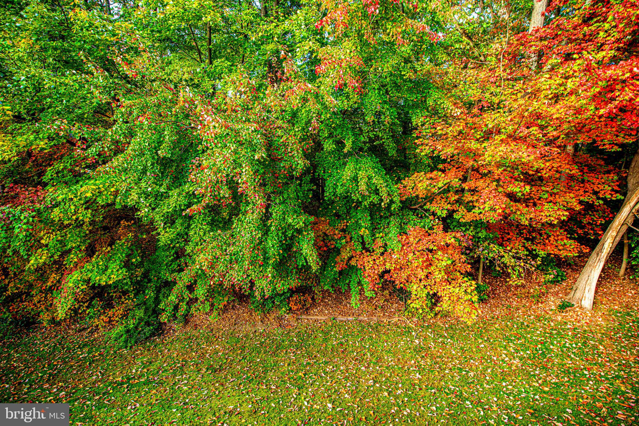 COKESBURY MANOR - Residential