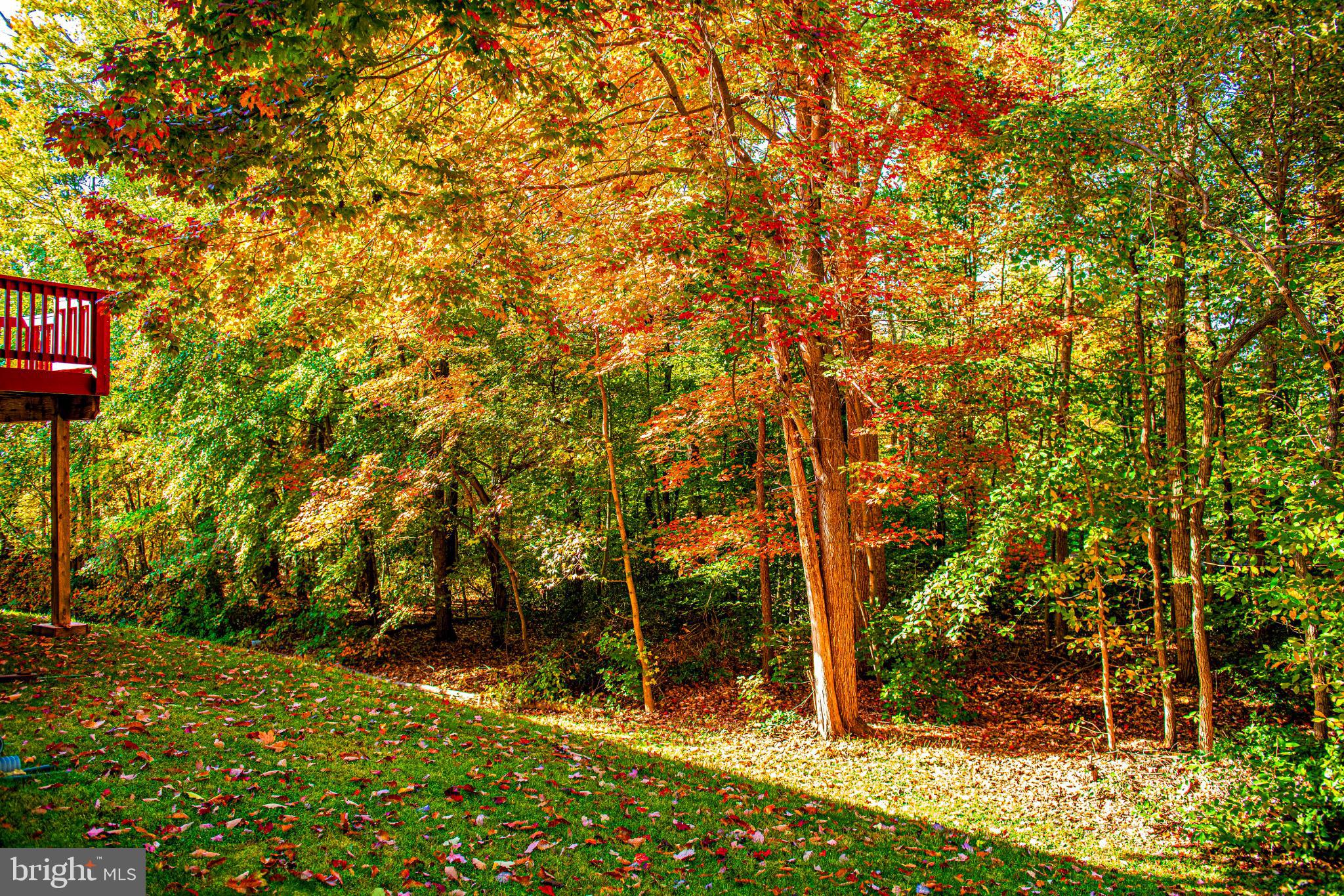 COKESBURY MANOR - Residential