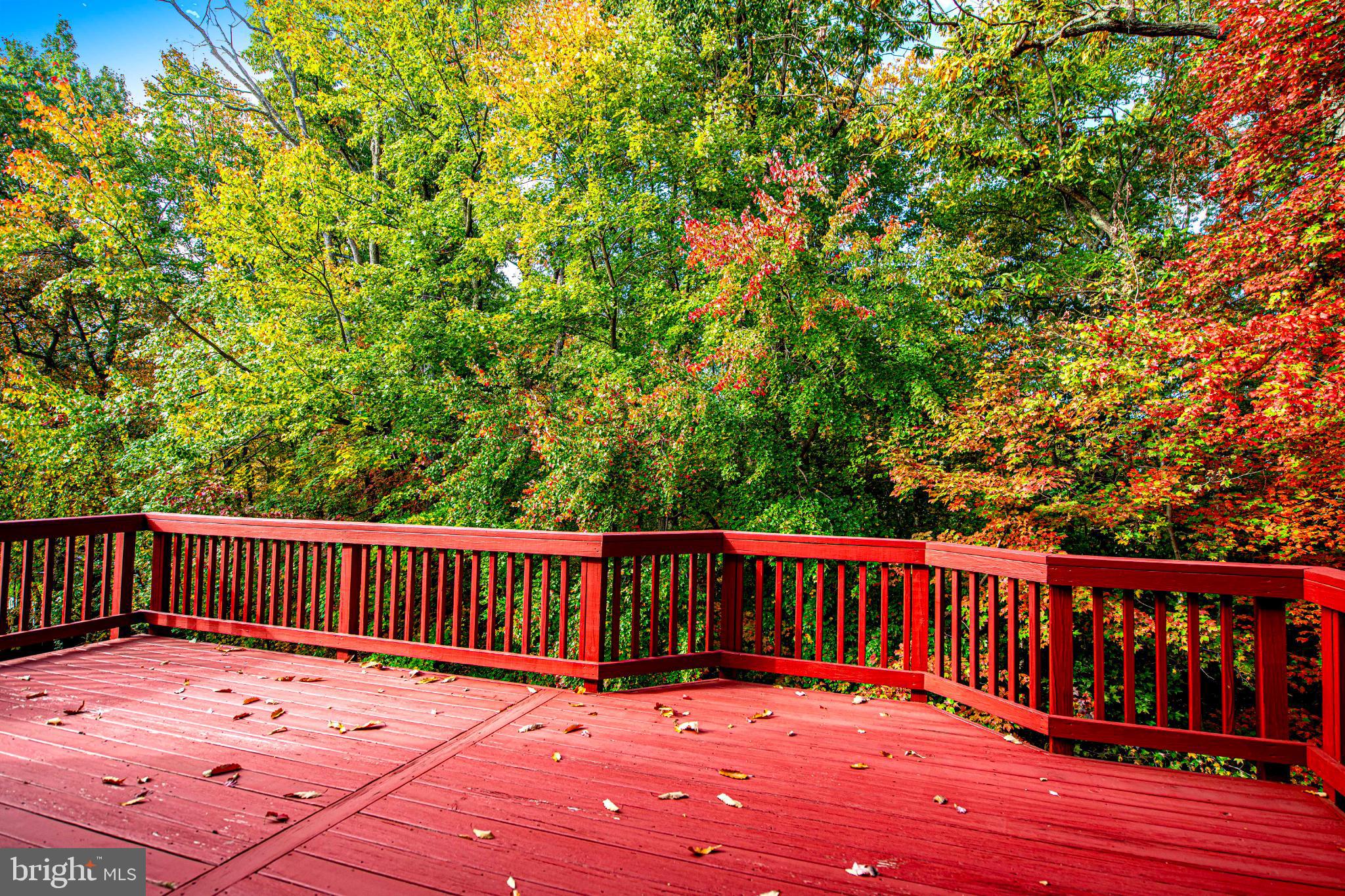 COKESBURY MANOR - Residential