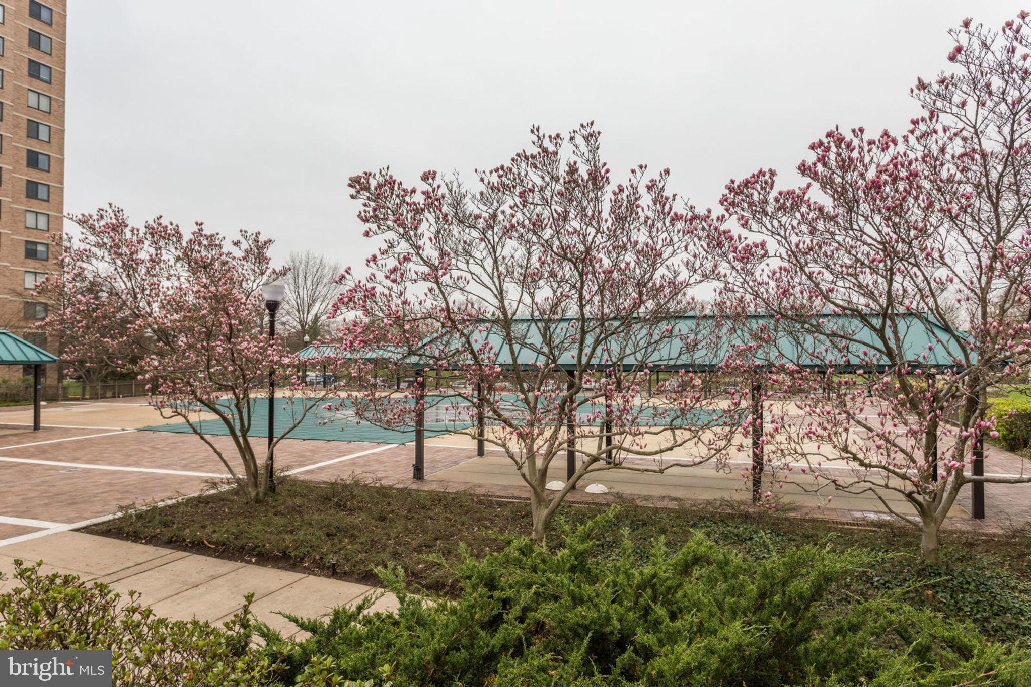 SKYLINE SQUARE CONDO - Residential Lease