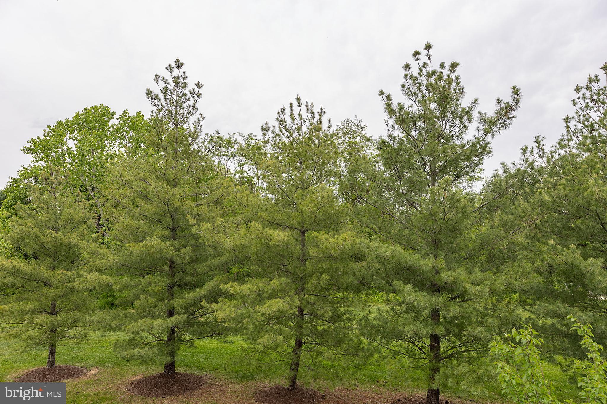 GREEN MEADOWS - Residential