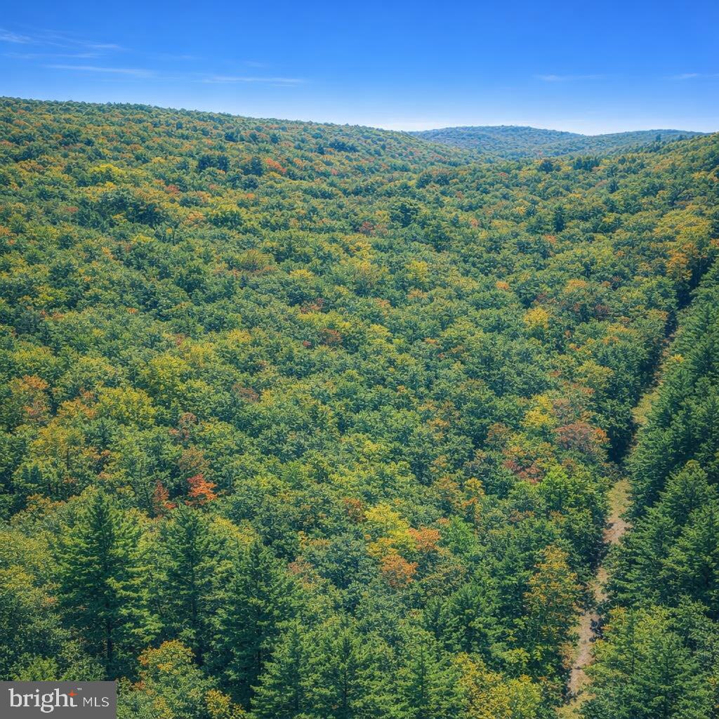 LOT 169 FOREST RIDGE TRAIL