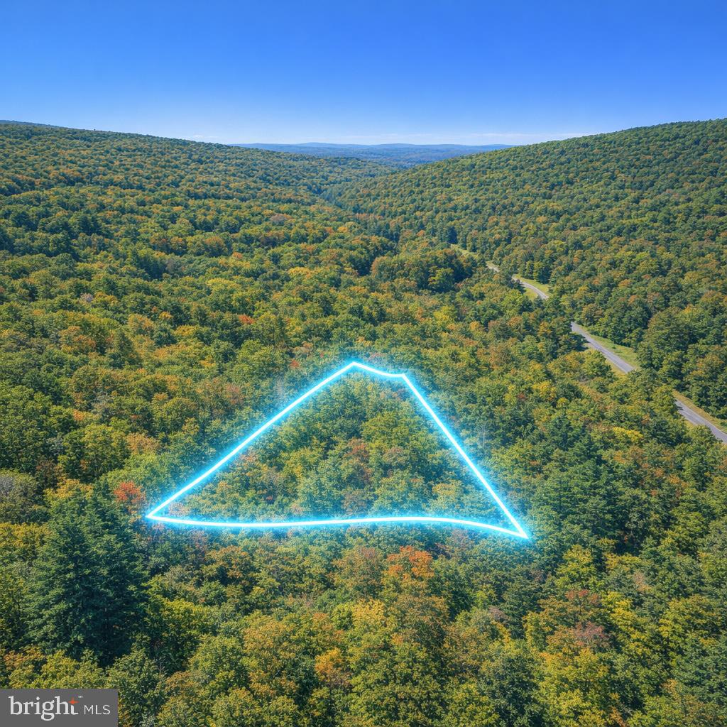 MINE MTN - Land
