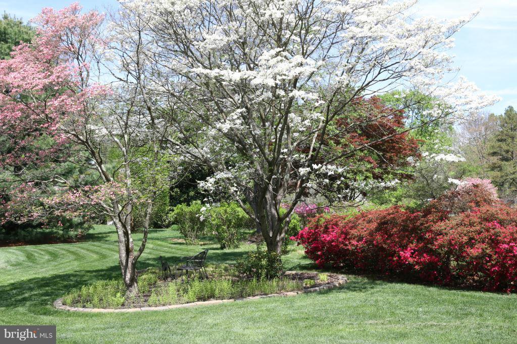 BLENHEIM MANOR - Residential