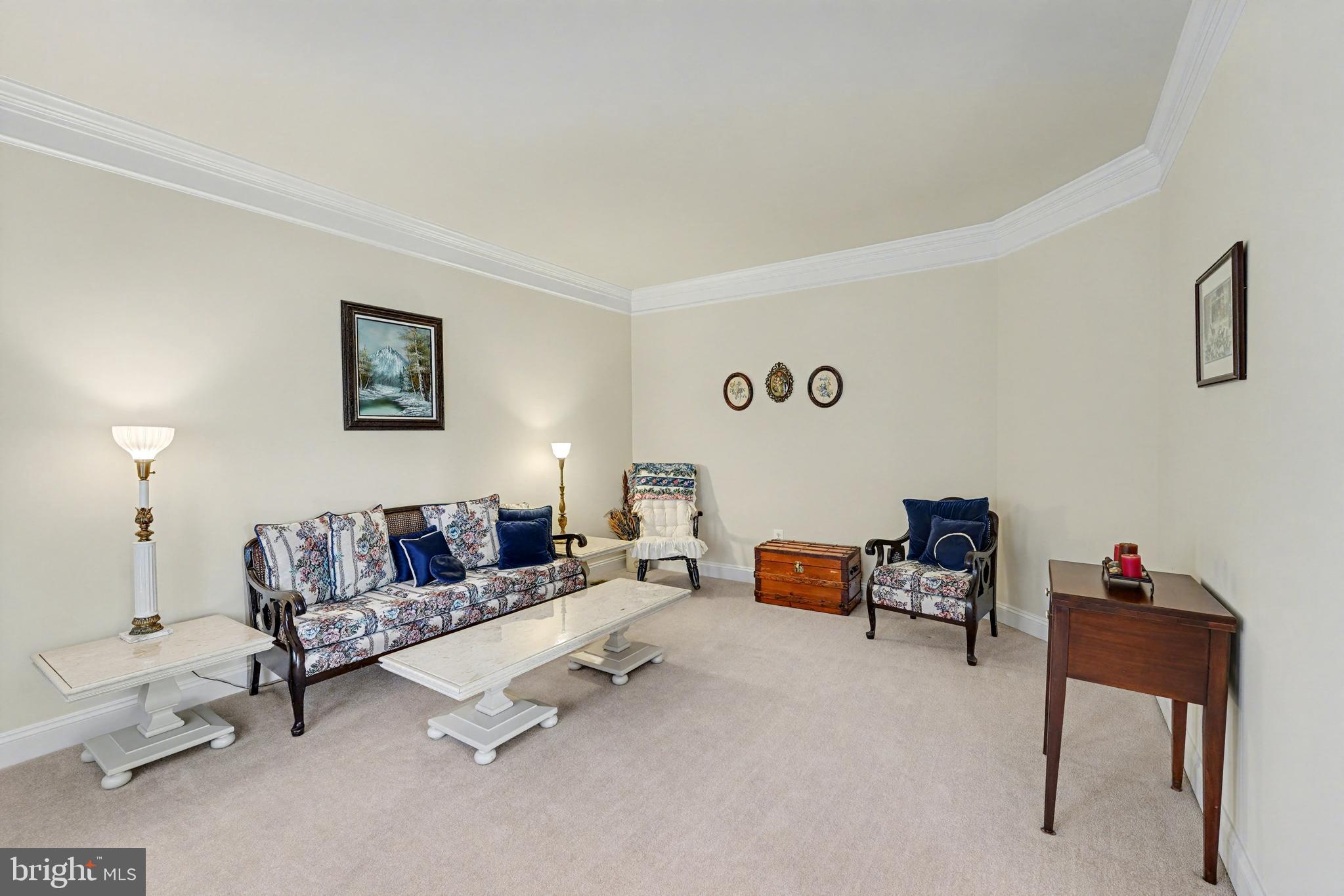 9923 HOLLAND MEADOWS COURT