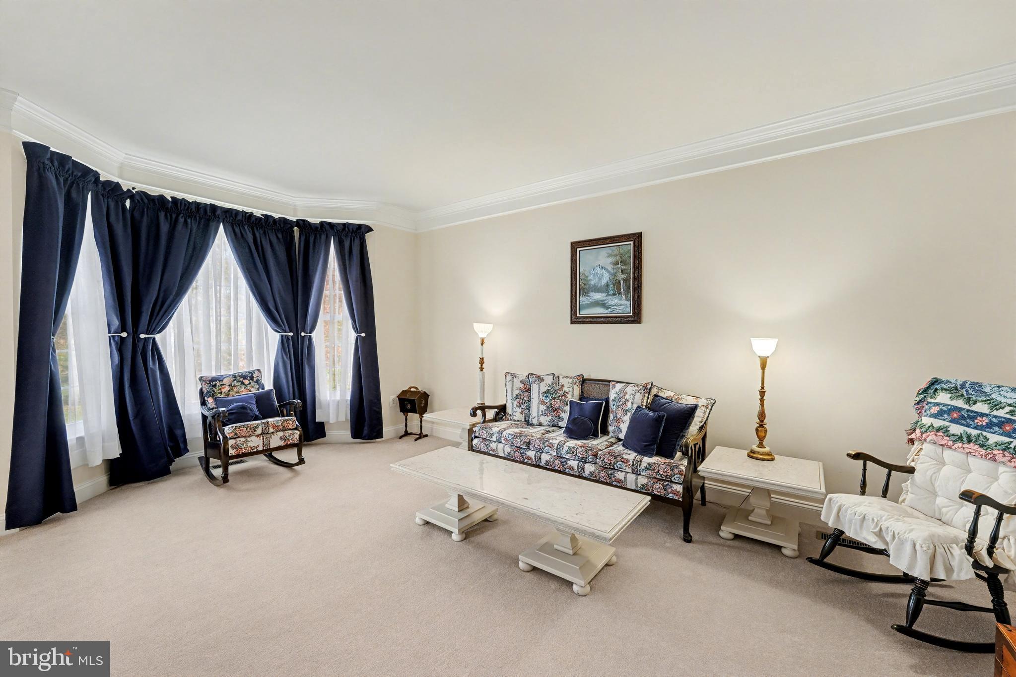 9923 HOLLAND MEADOWS COURT