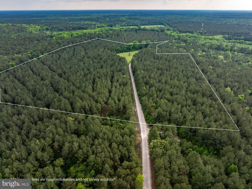 Expansive 29-acre parcel is ready for you to bring your plans!  The parcel has a beautiful 1-acre area already cleared and the rest of the lot is wooded.  Perc has not been received yet, but preliminary site review is promising.  Neighboring parcel (Lot #1 is 44 acres and also for sale).  This is accessed via Slim Chance Ln, which is a private road, so please do not view property without an appointment.  Great location just 8 miles from historic Snow Hill and not far from Berlin, Ocean City and Assateague Island!