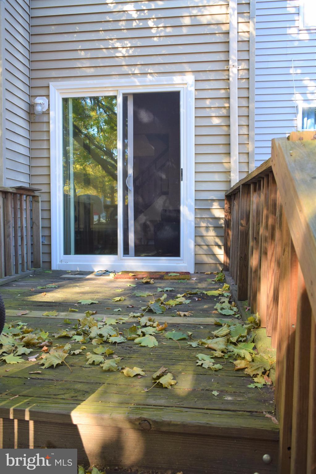 ASHFORD - Residential Lease