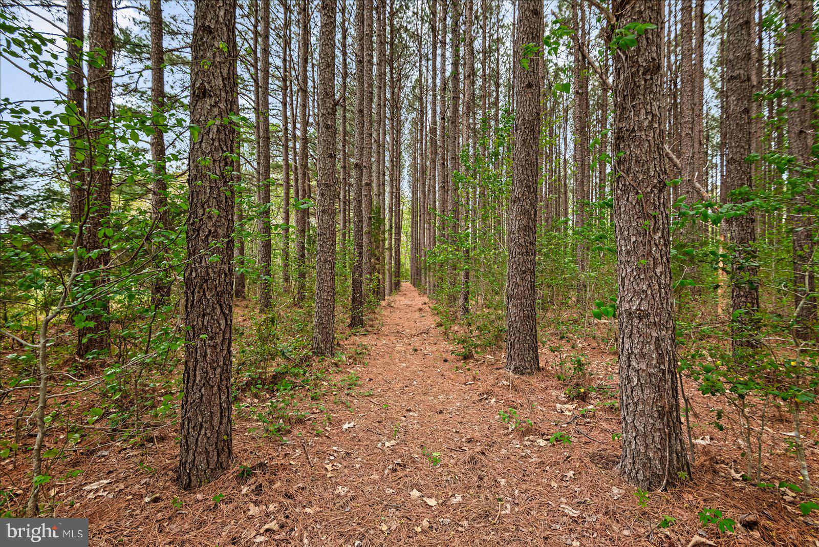 NONE WITH NO H.O.A. - Residential