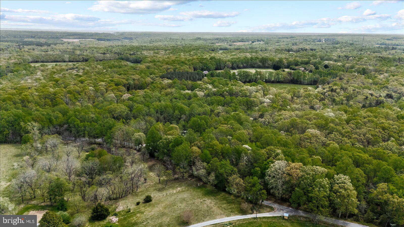 NONE WITH NO H.O.A. - Residential