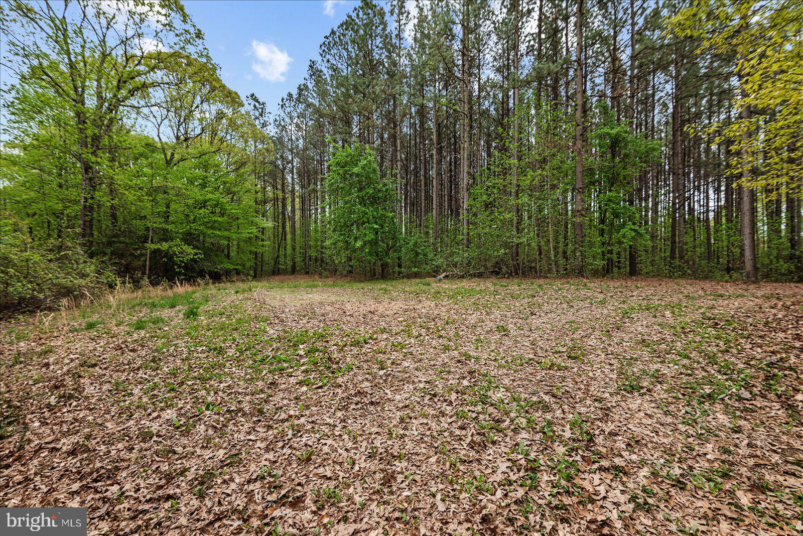 NONE WITH NO H.O.A. - Residential