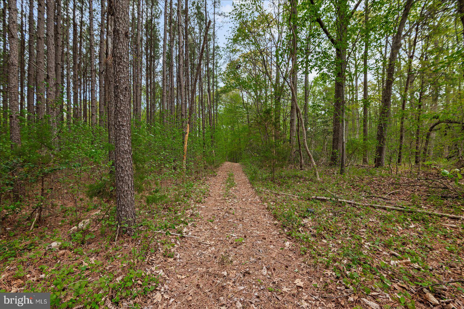 NONE WITH NO H.O.A. - Residential