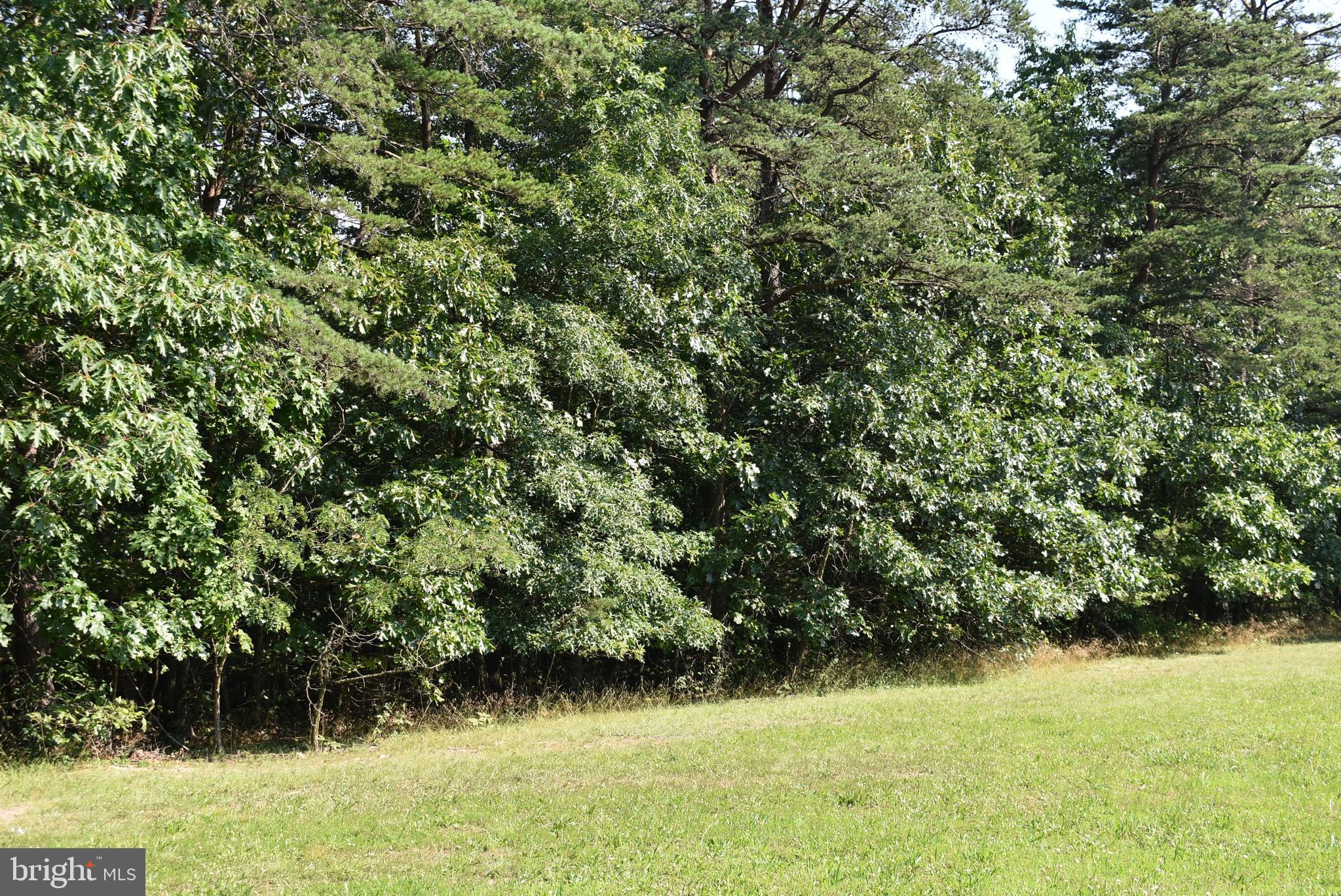 SPRING VALLEY - Land