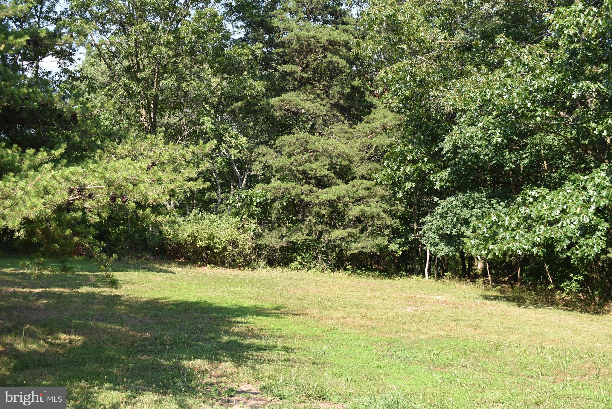 SPRING VALLEY - Land