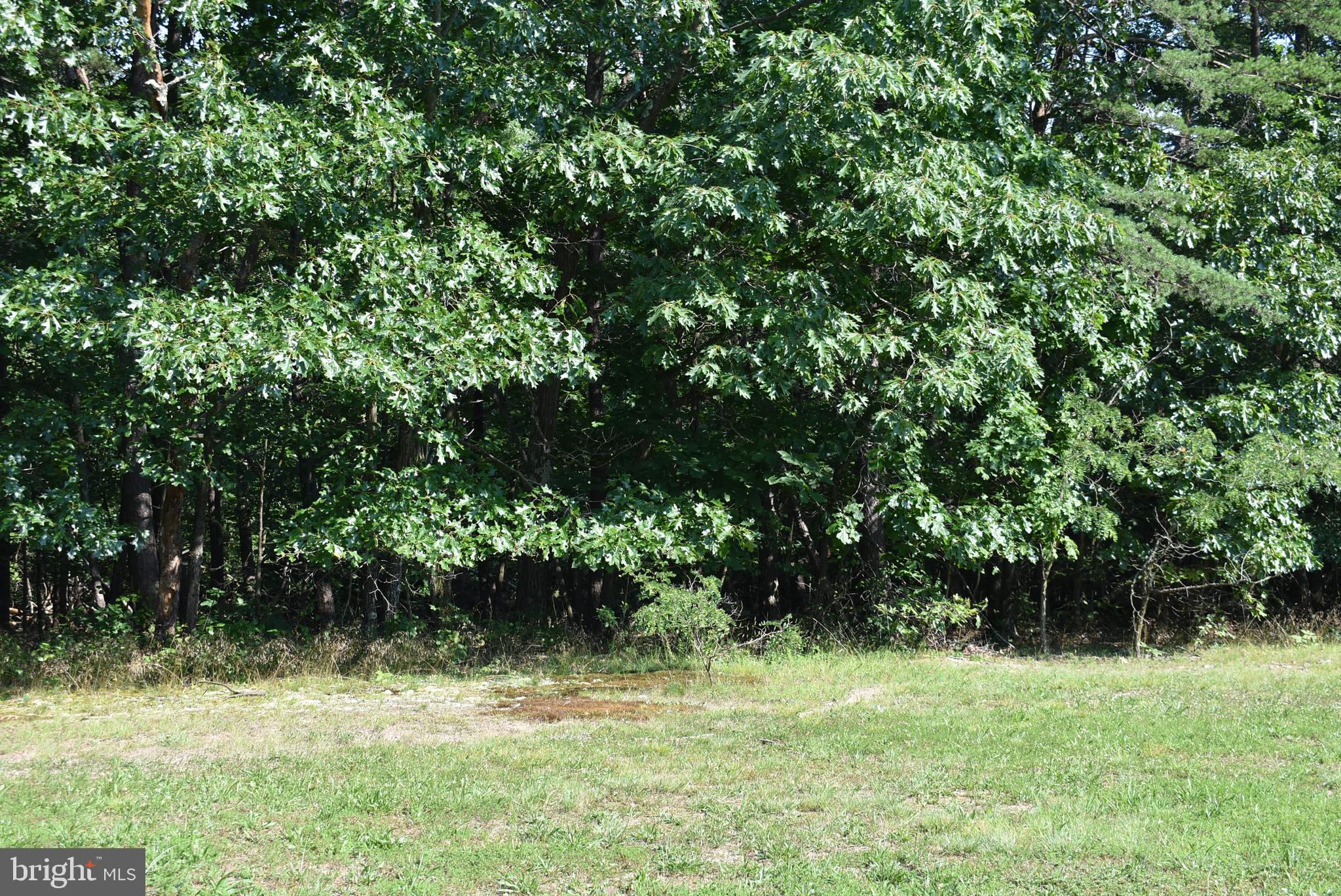 SPRING VALLEY - Land