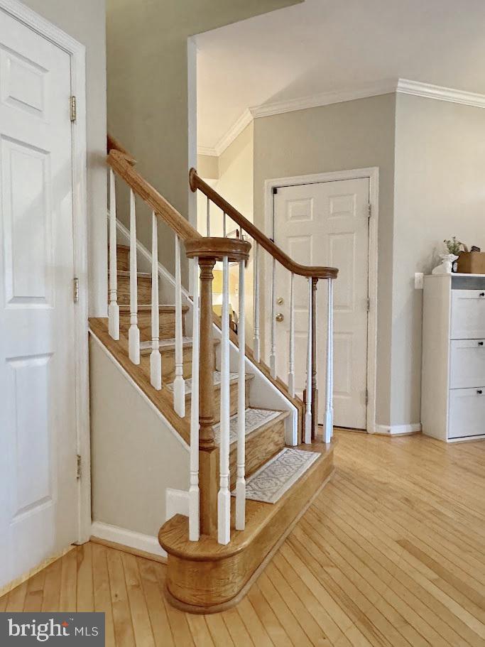 CHATHAM  VILLAGE - Residential