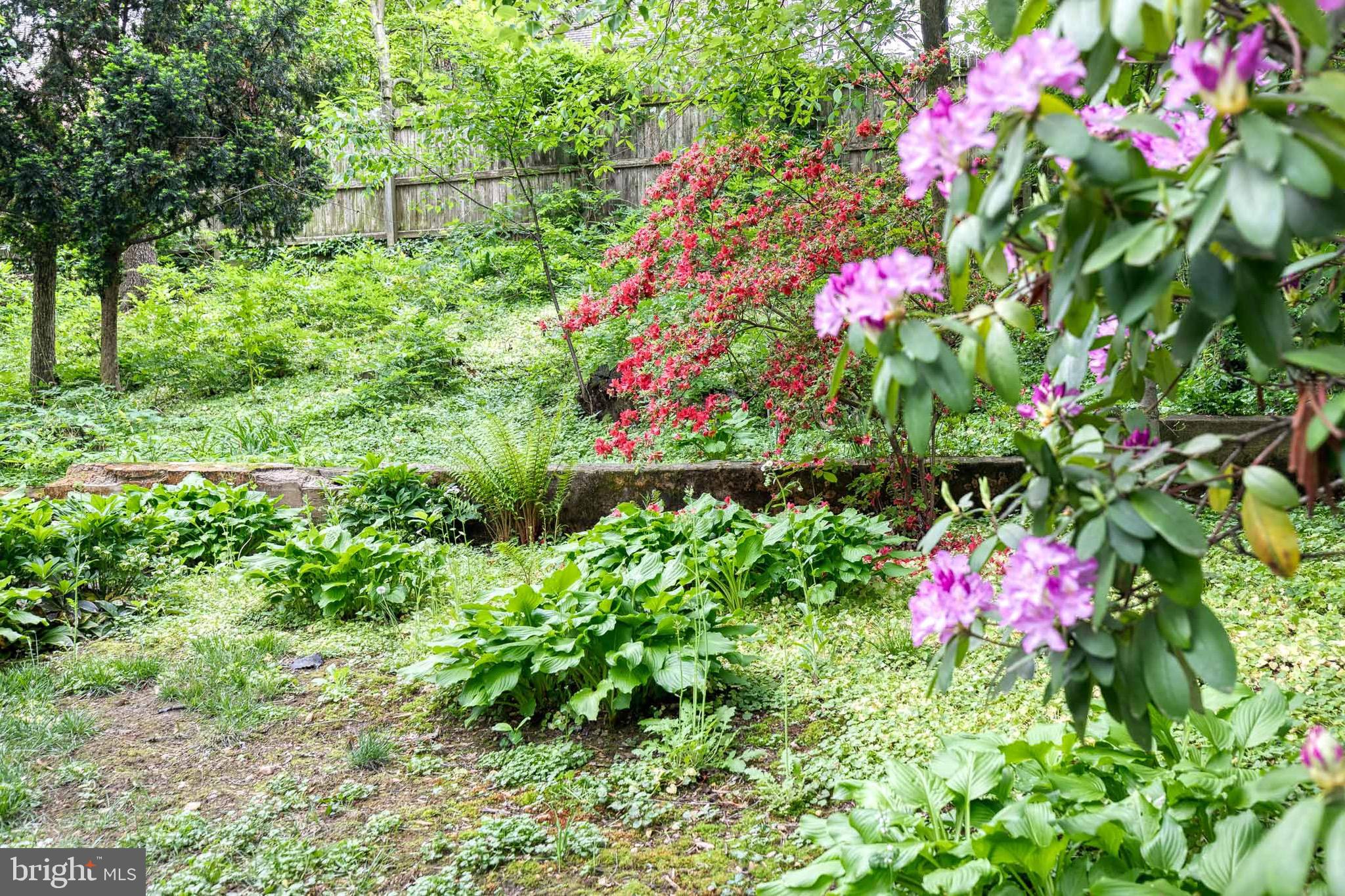 ROLAND PARK - Residential