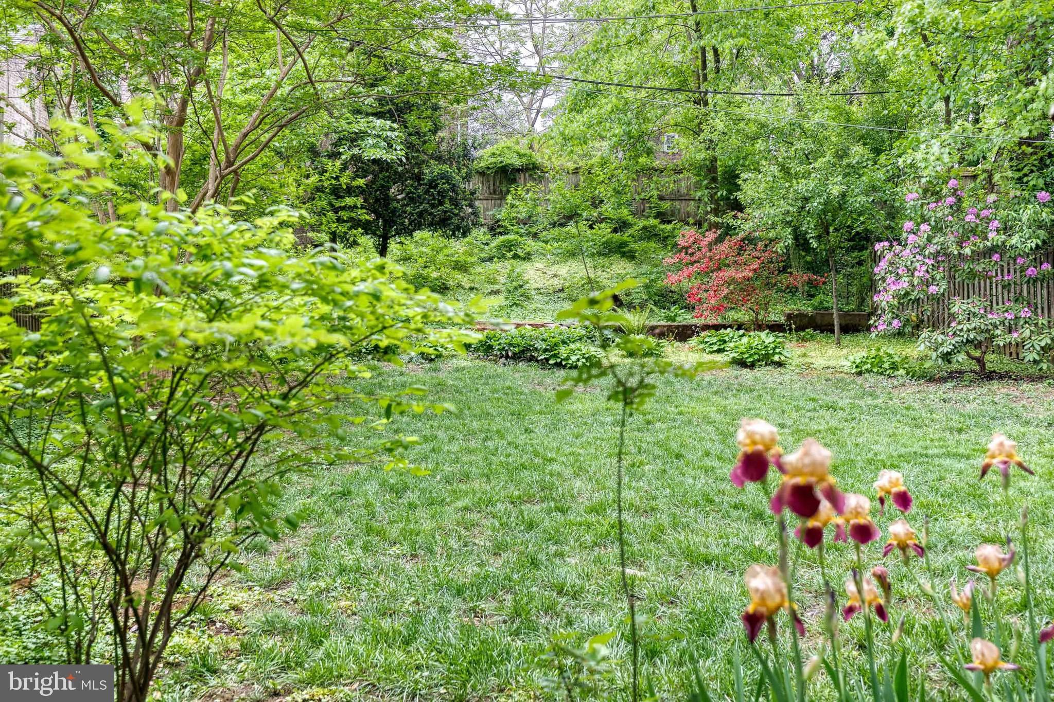 ROLAND PARK - Residential