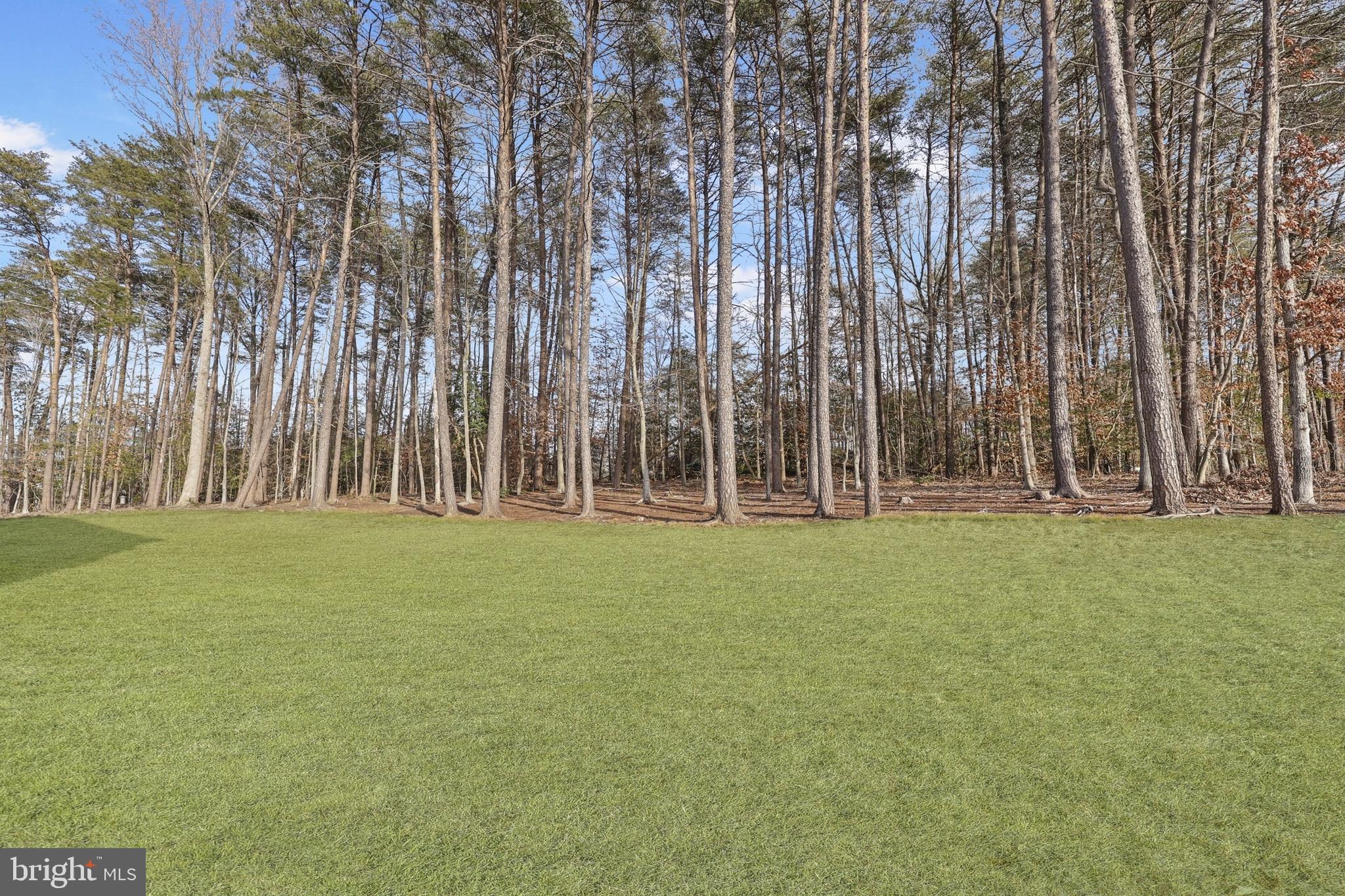 CARTER'S GROVE - Residential