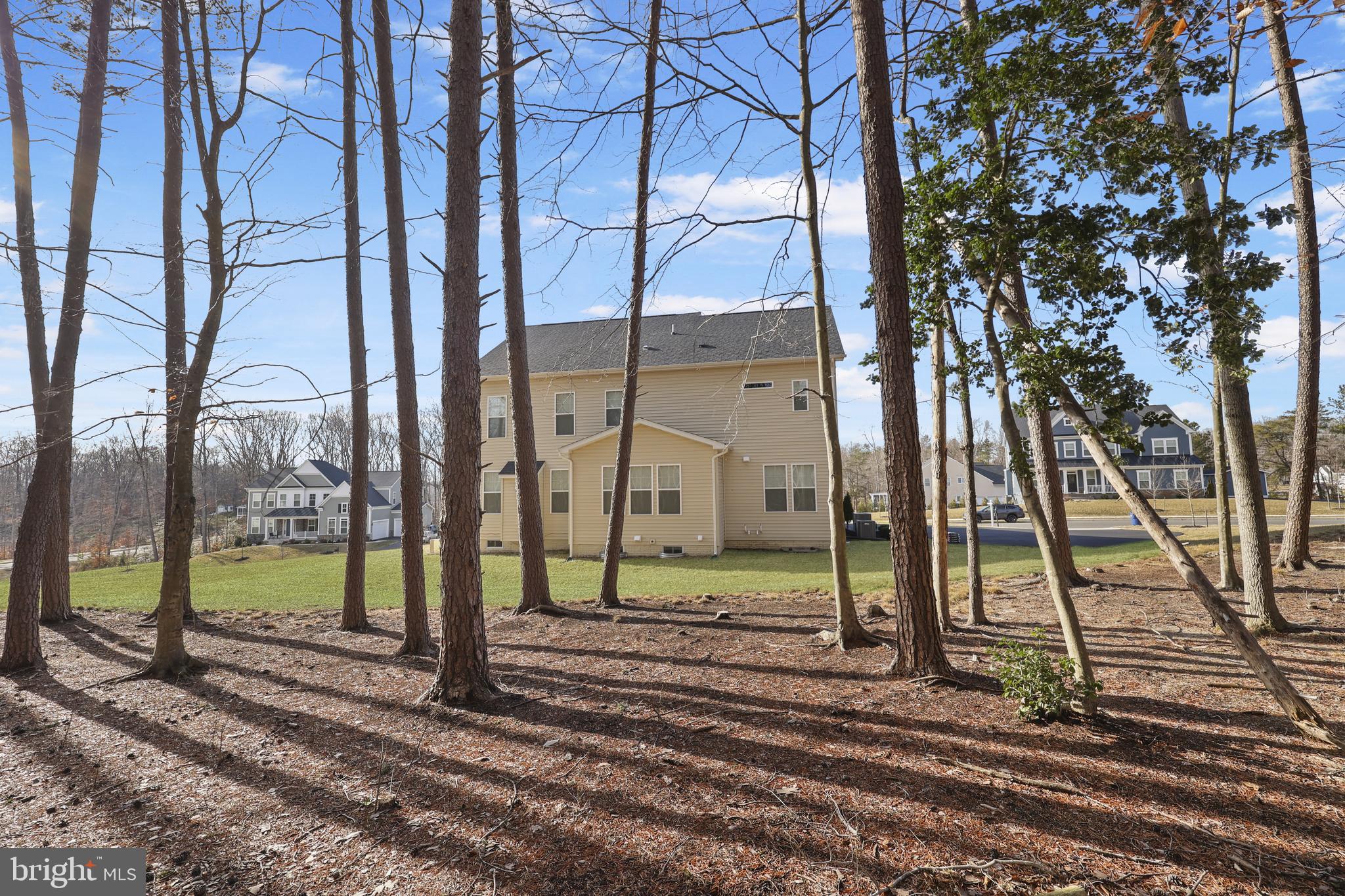 CARTER'S GROVE - Residential