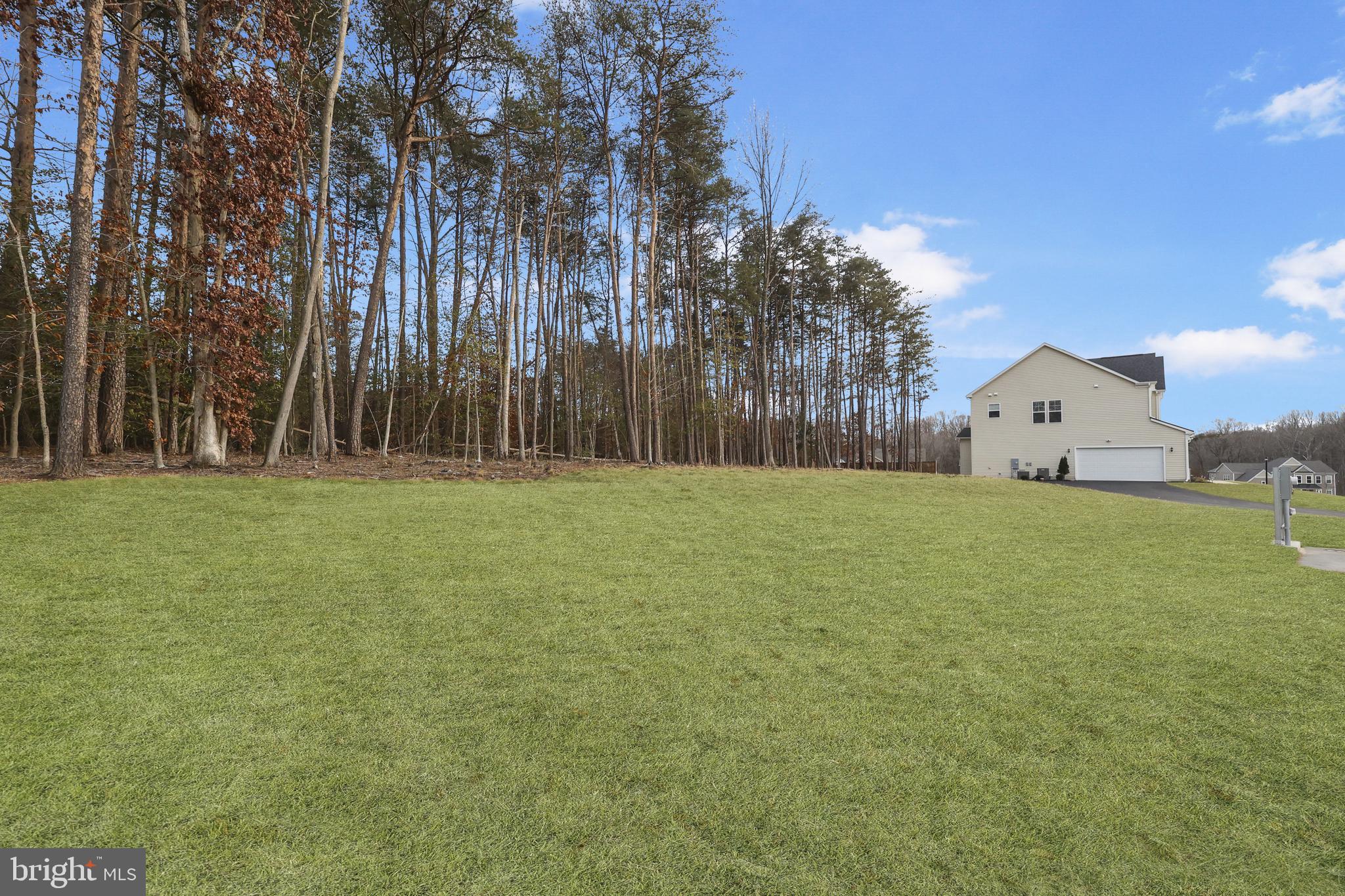 CARTER'S GROVE - Residential