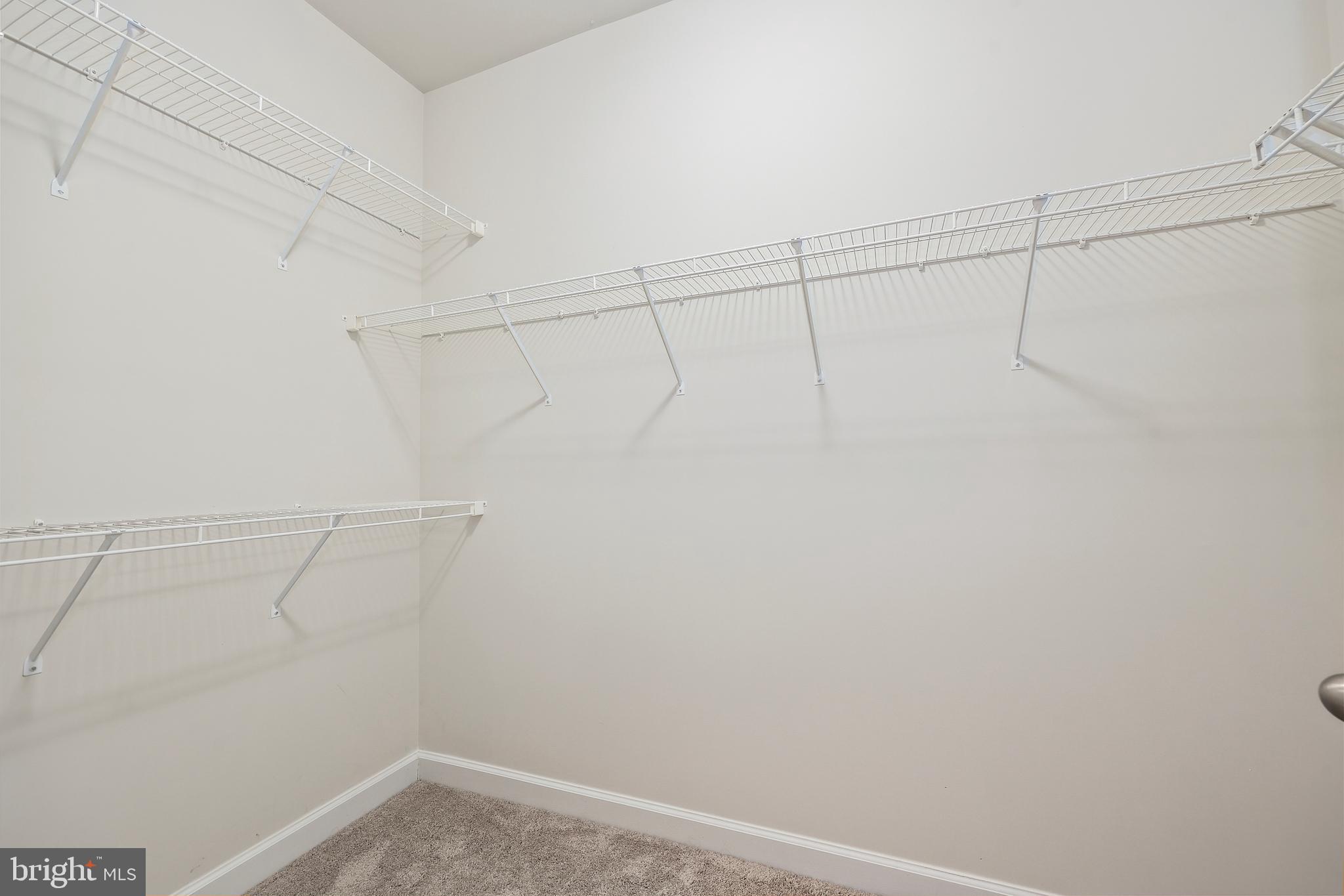 CARTER'S GROVE - Residential