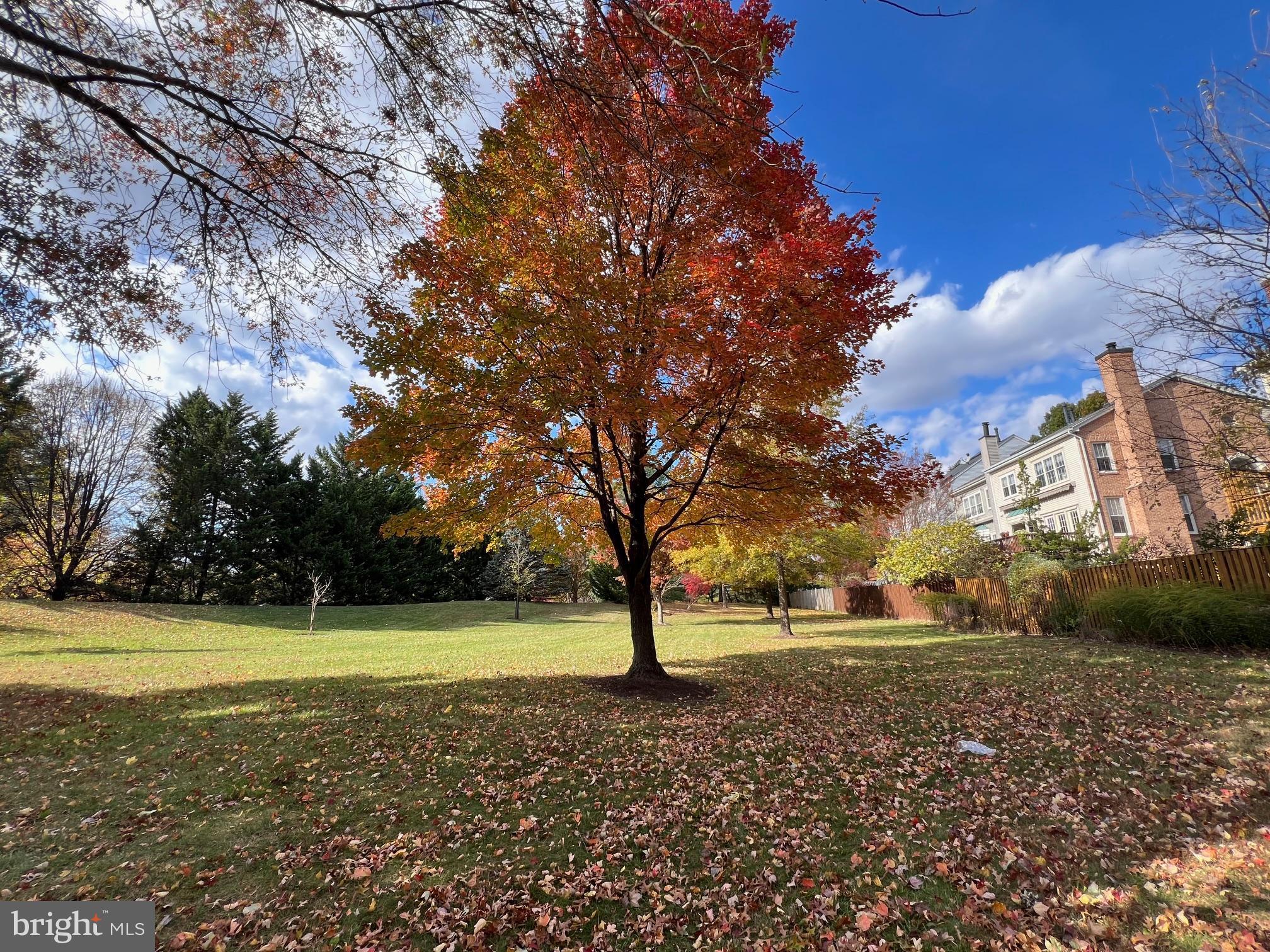 WOODSIDE - Residential Lease