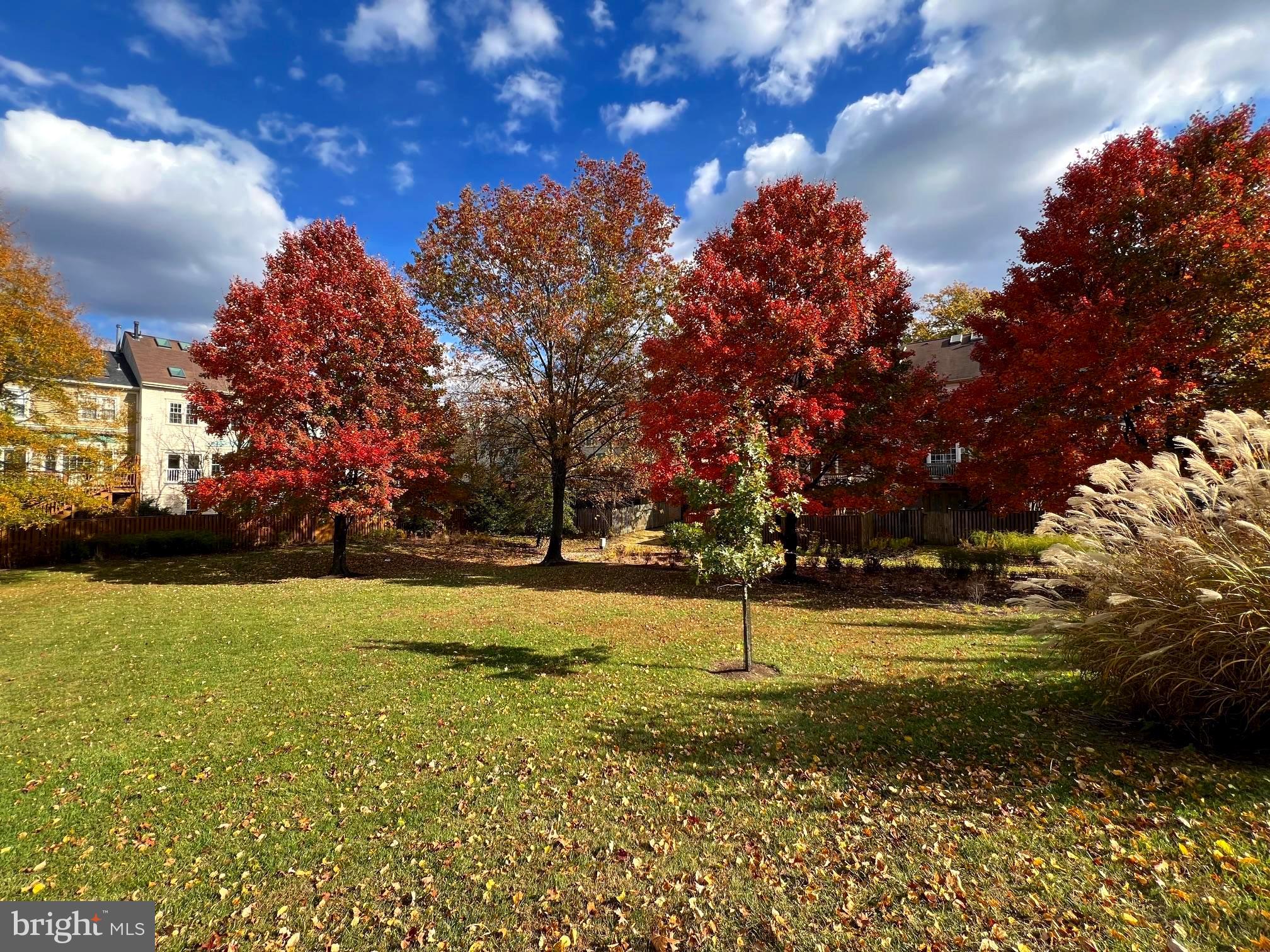 WOODSIDE - Residential Lease