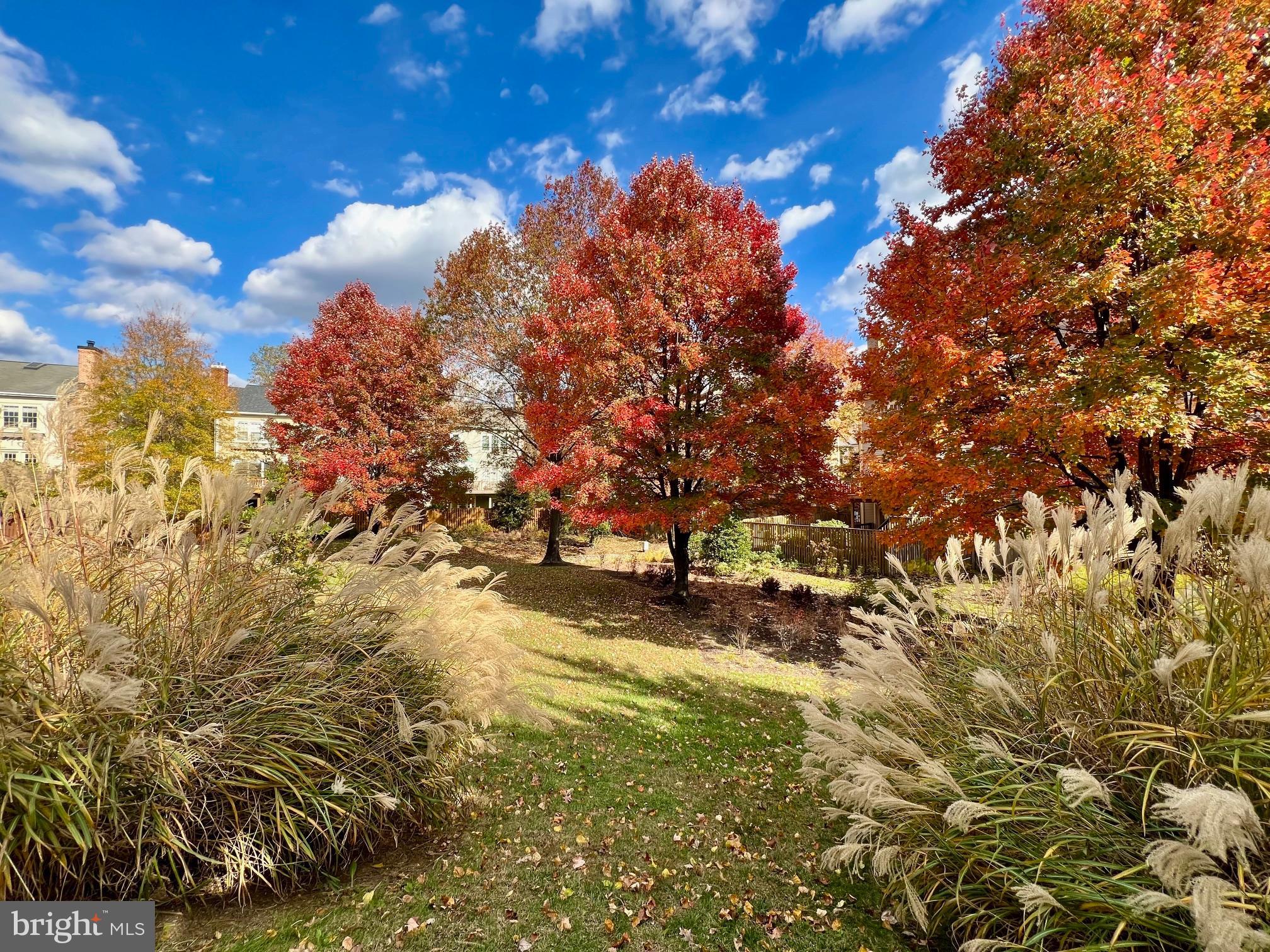 WOODSIDE - Residential Lease