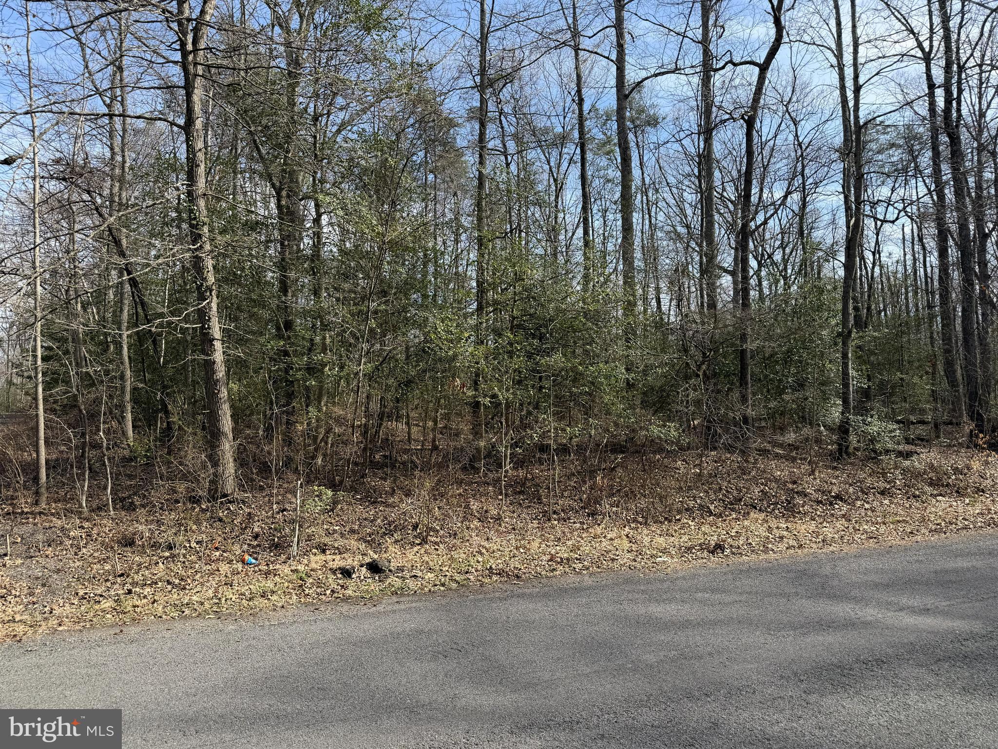 Lot 7A PARK AVE