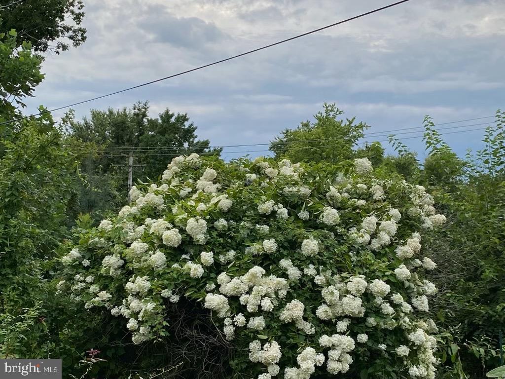 CEDMONT - Residential