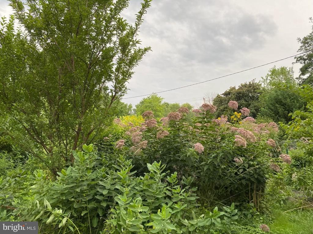 CEDMONT - Residential