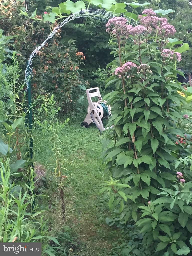 CEDMONT - Residential