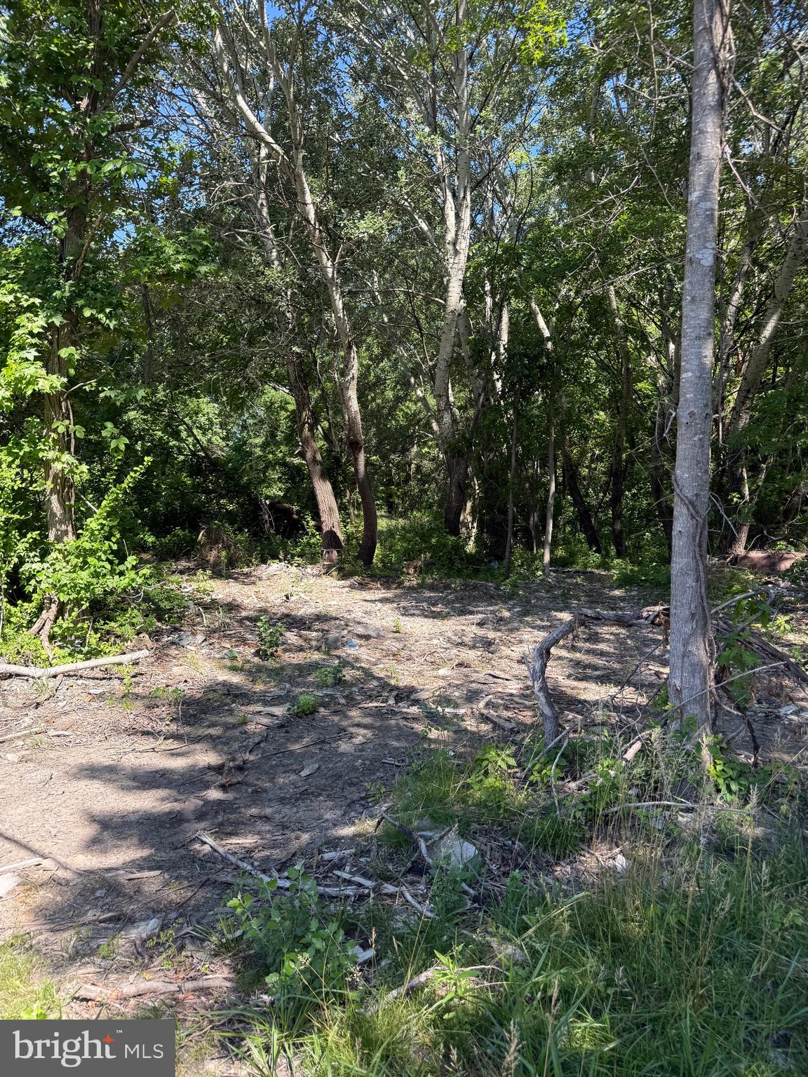 105 BARCLAY CUTOFF ROAD