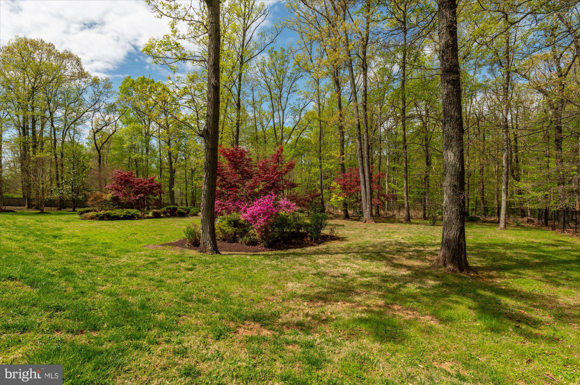 POTOMAC OUTSIDE - Residential