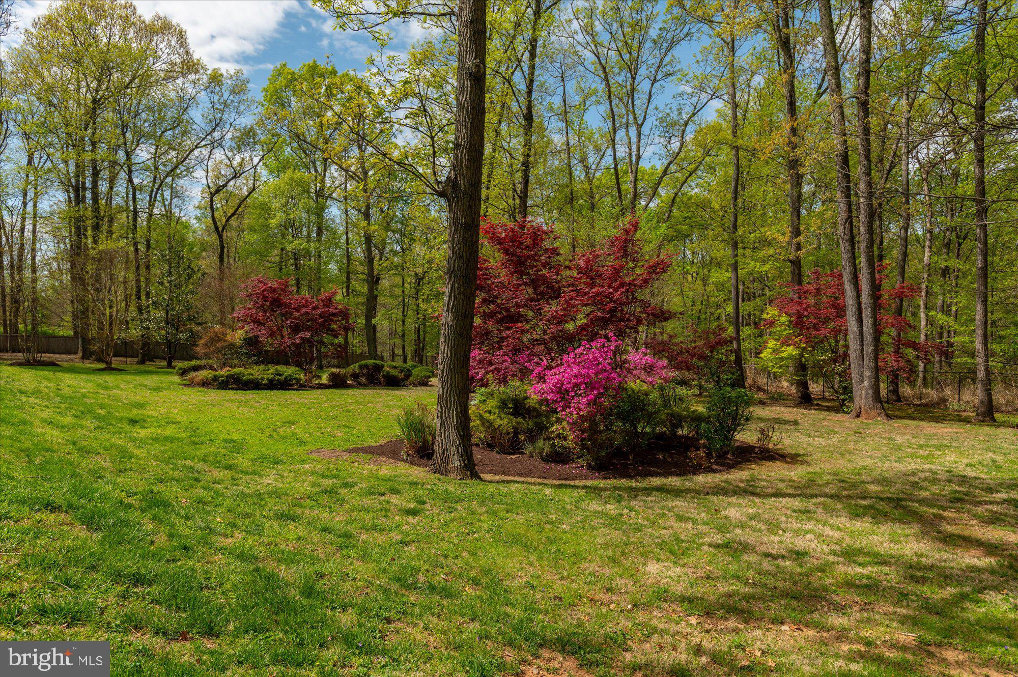 POTOMAC OUTSIDE - Residential