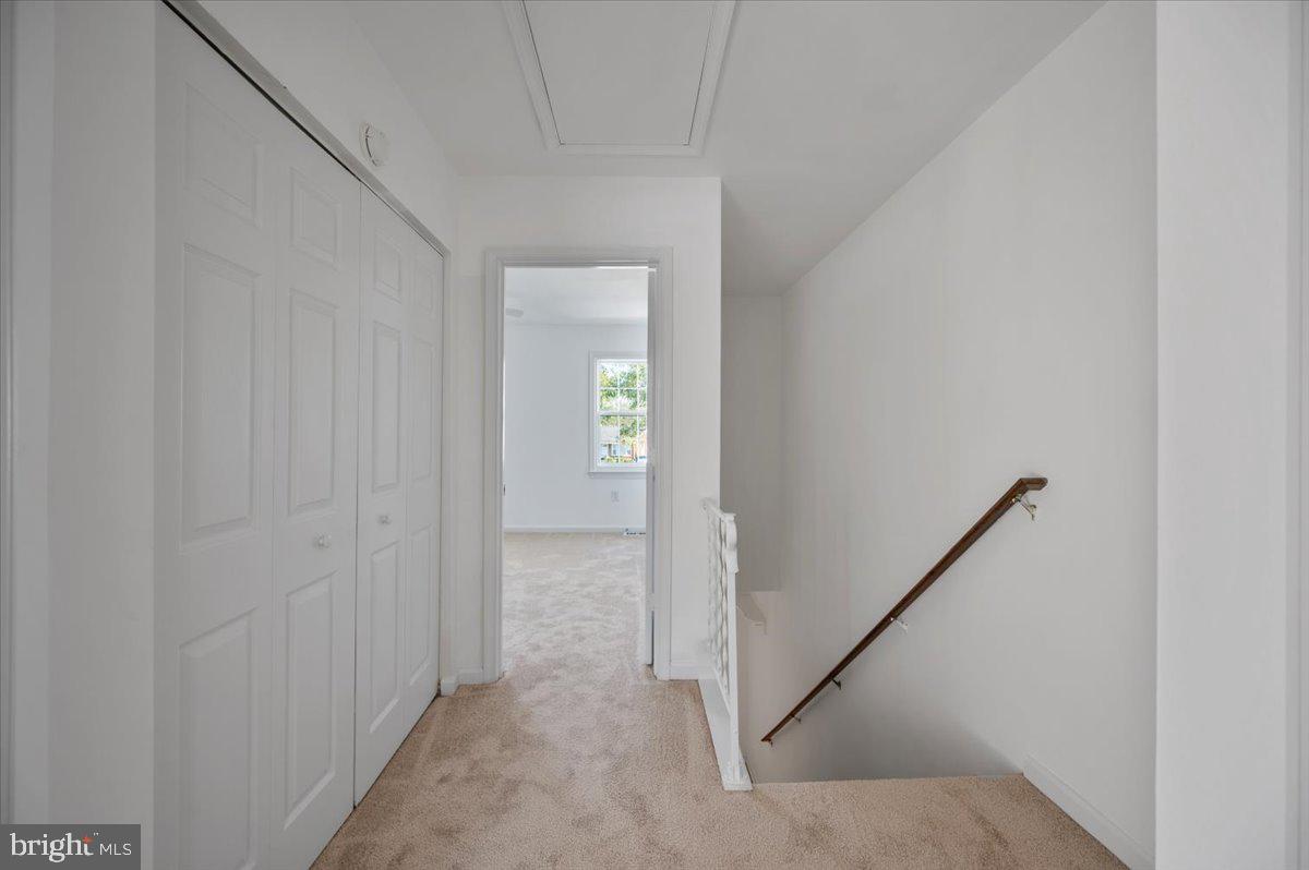 CEDAR LANE TERRACE - Residential