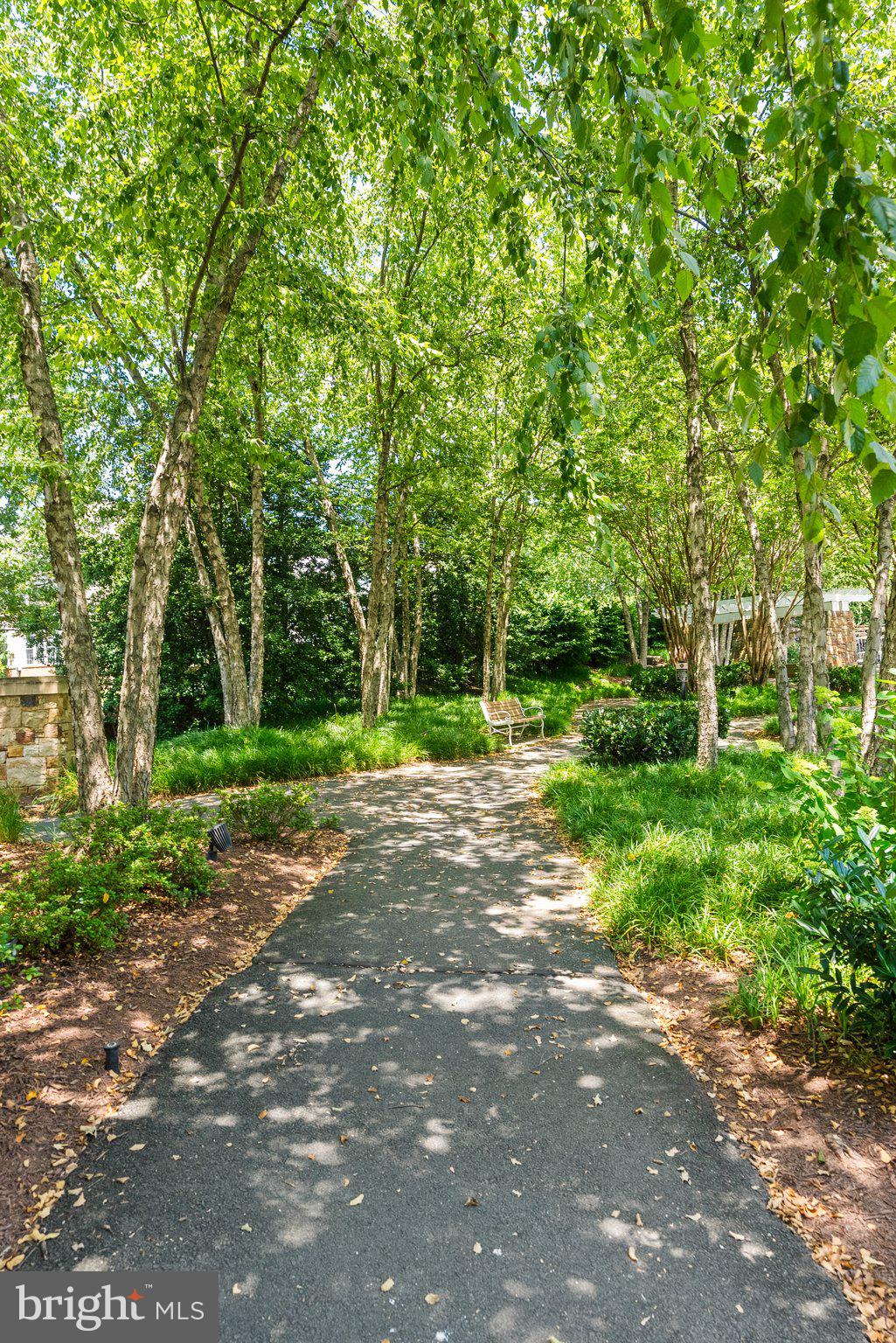 LANSDOWNE ON THE POTOMAC - Residential