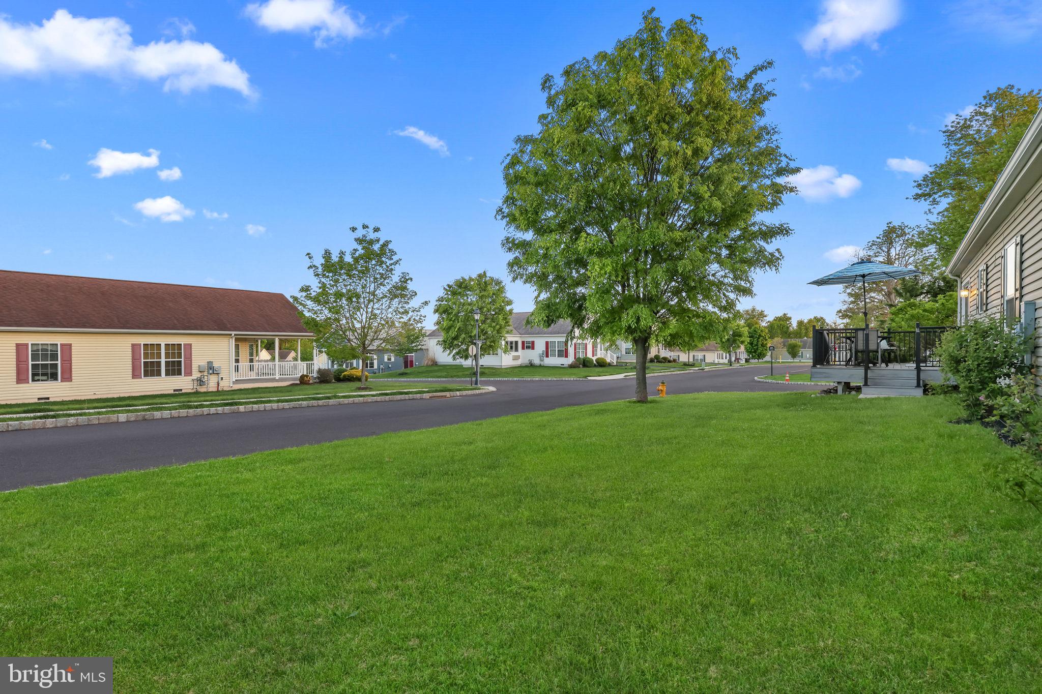 BLUE BELL SPRINGS - Residential