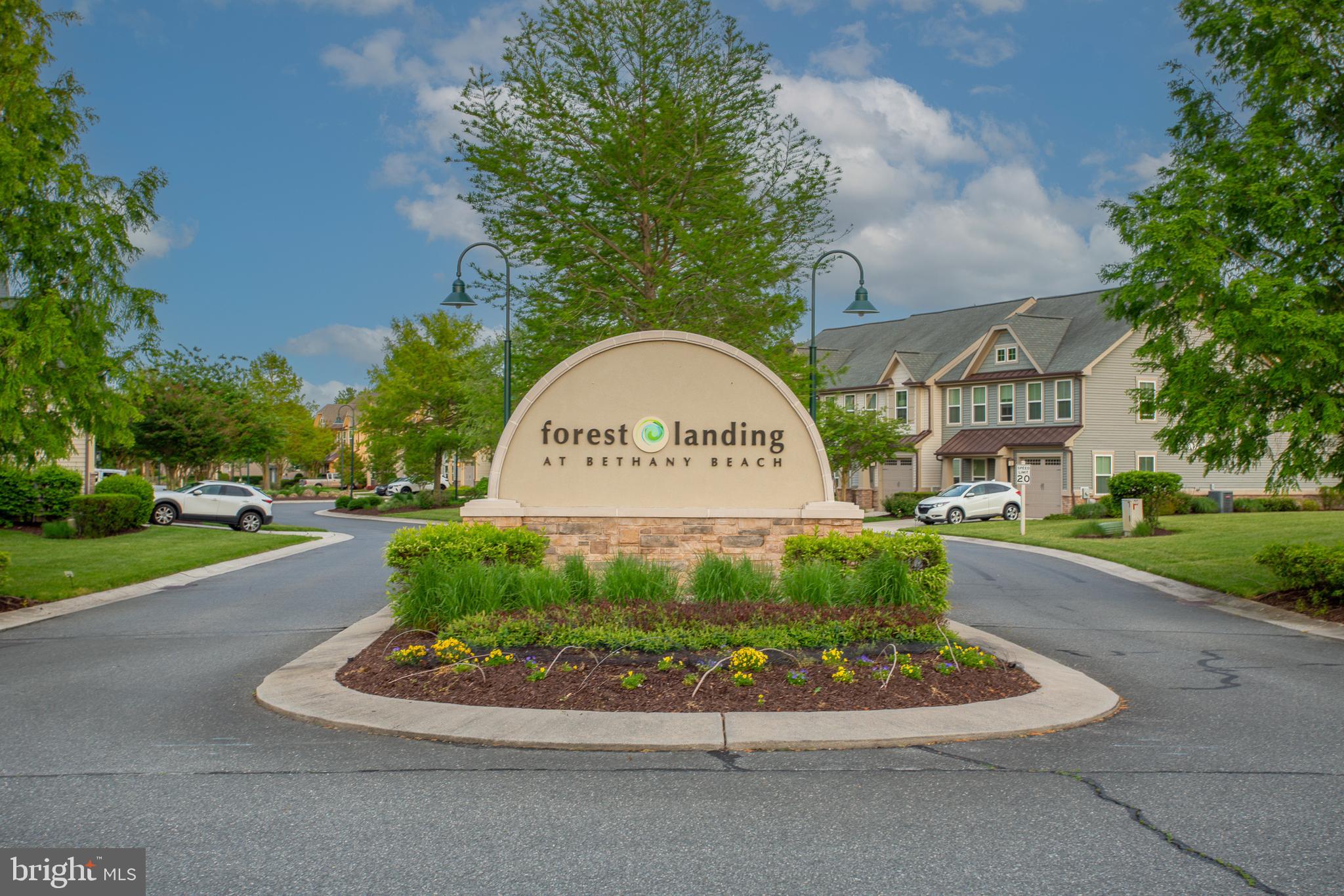 FOREST LANDING - Residential
