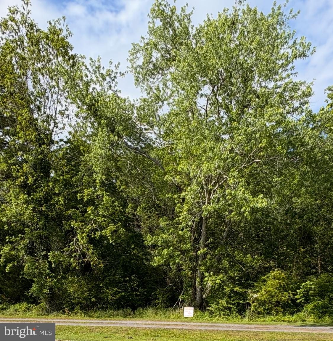 Large one acre building lot just off of route 413 on Davis Road in Marion Station, Maryland. Quiet location. Boundary survey and site evaluation test location documents available. Please verify with Somerset County Planning and Zoning regarding building requirements.